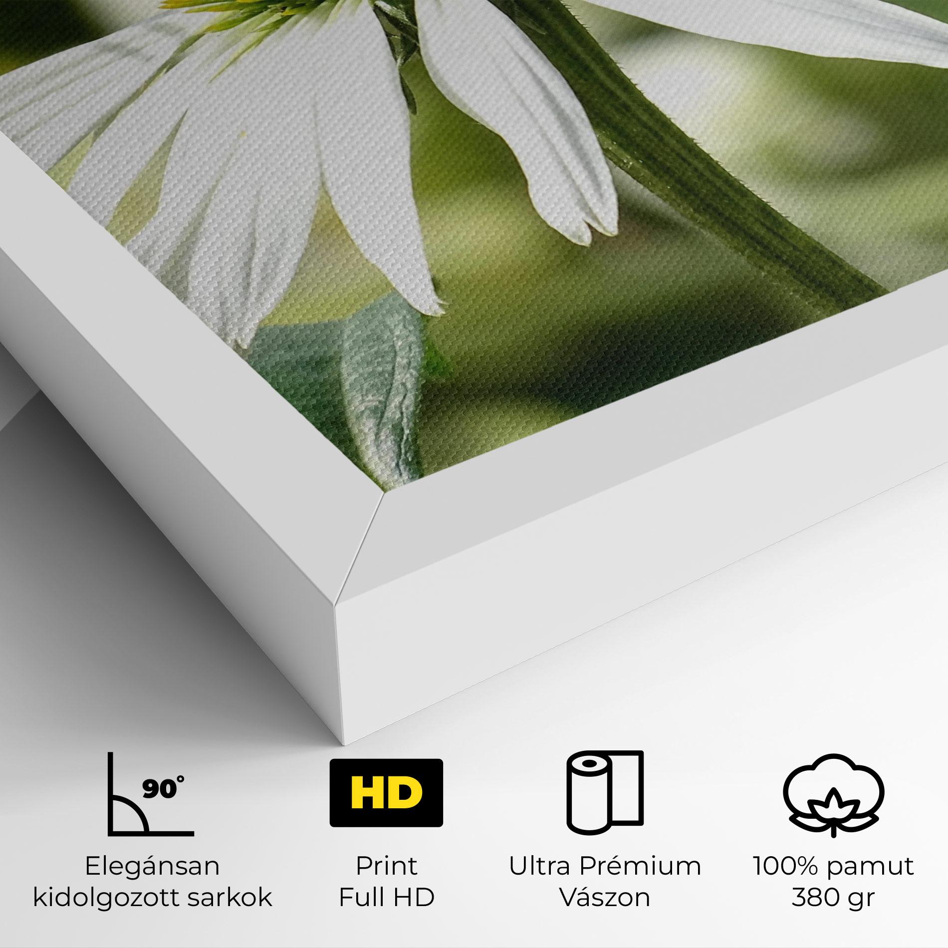 Vászonkép Green Daisy mockup 4