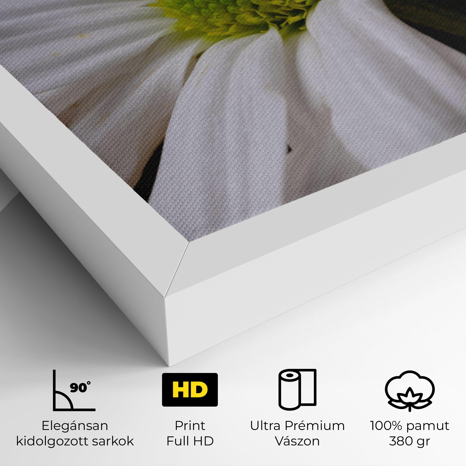 Vászonkép Green Middle Daisy mockup 4