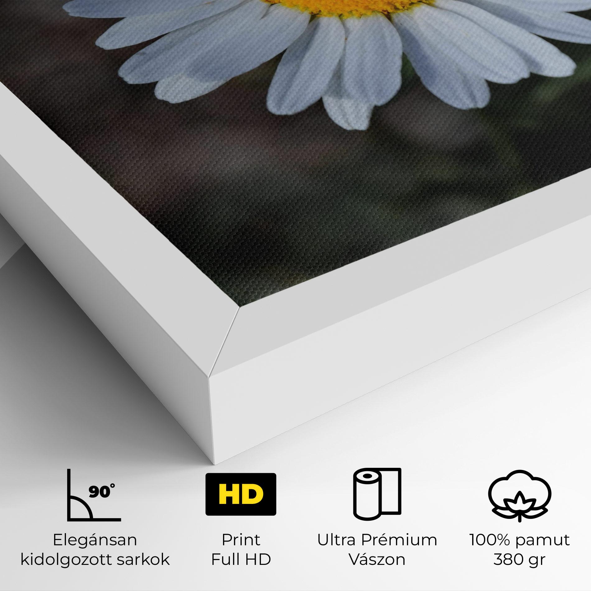 Vászonkép Strong Yellow Daisy mockup 4