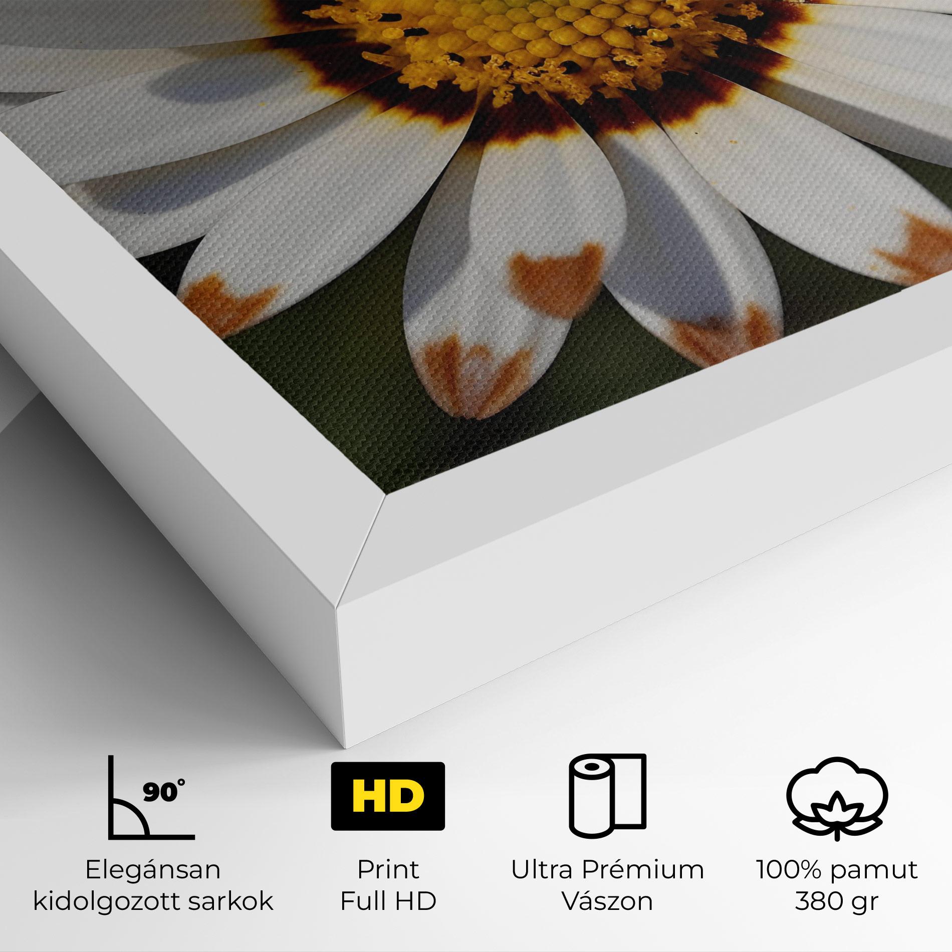 Vászonkép White Brown Daisy mockup 4