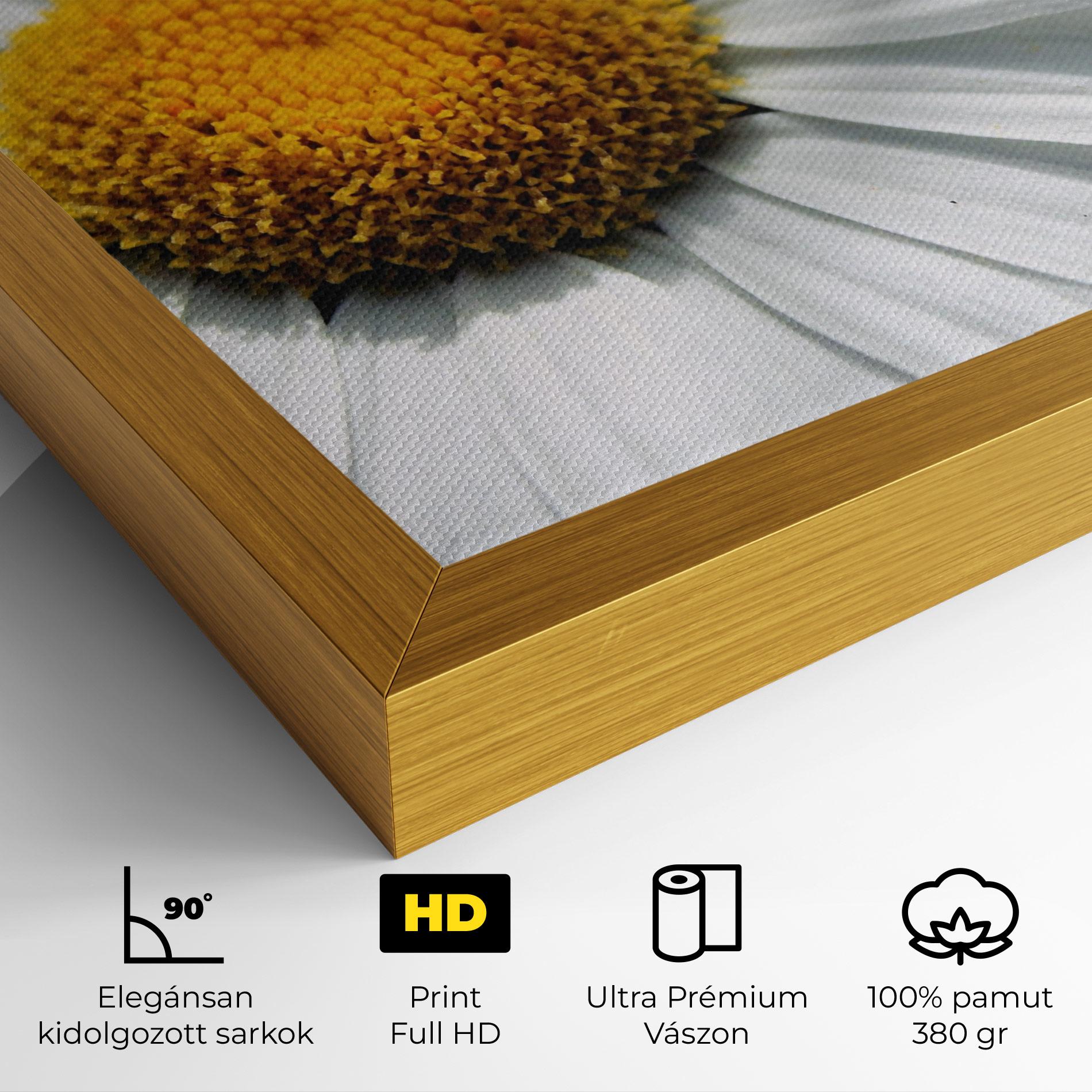 Vászonkép Big Daisies mockup 4
