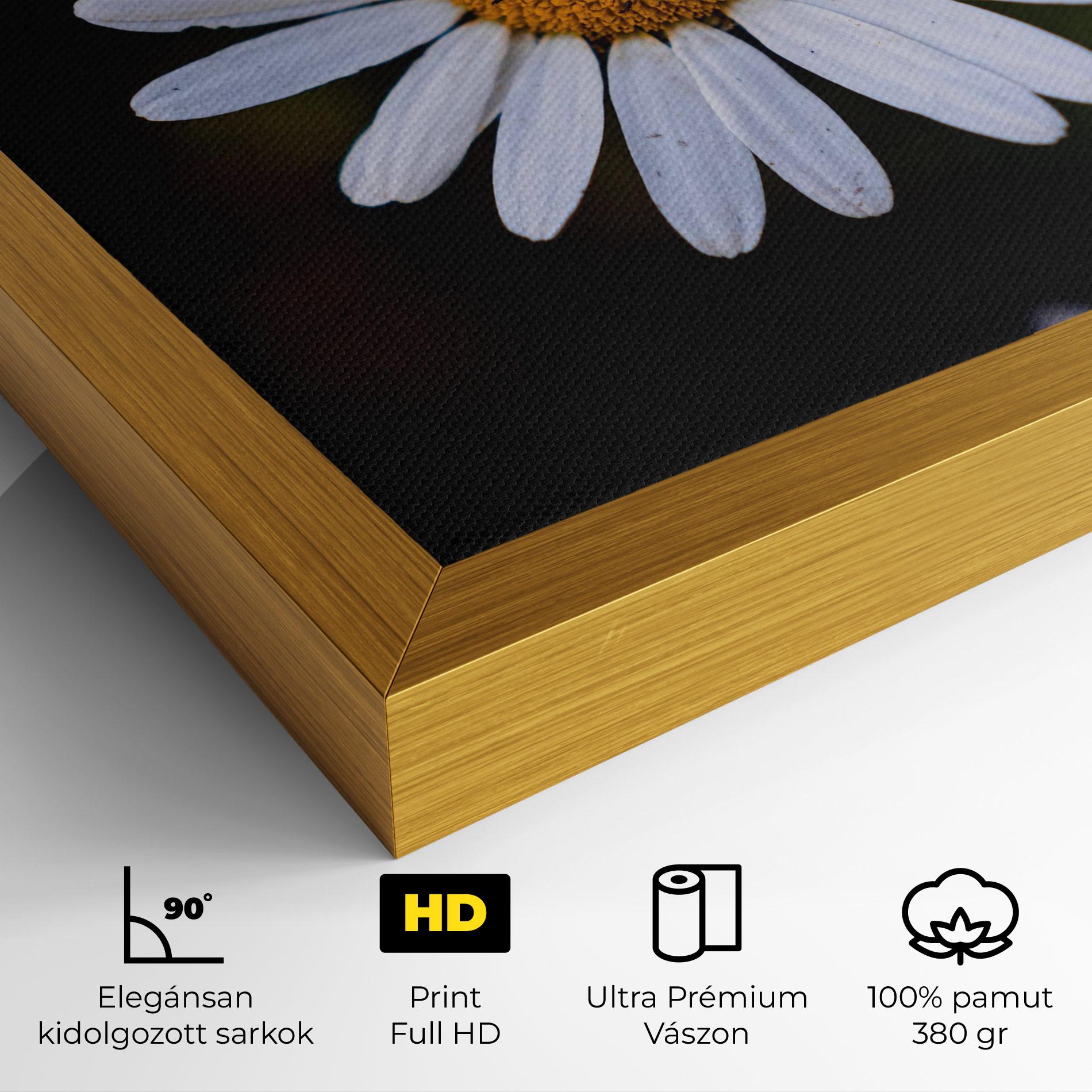 Vászonkép Big Yellow Center Daisy mockup 4