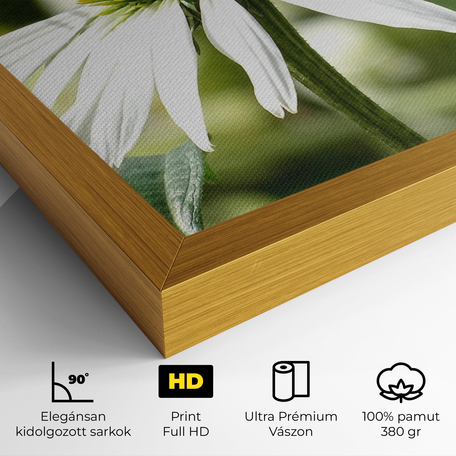 Vászonkép Green Daisy mockup 4