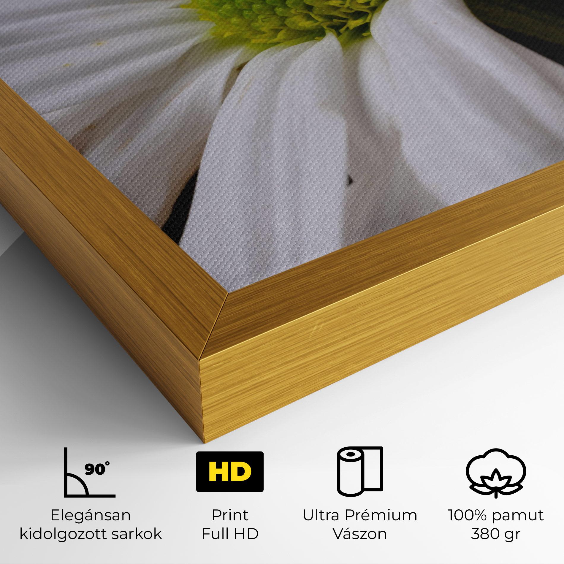 Vászonkép Green Middle Daisy mockup 4