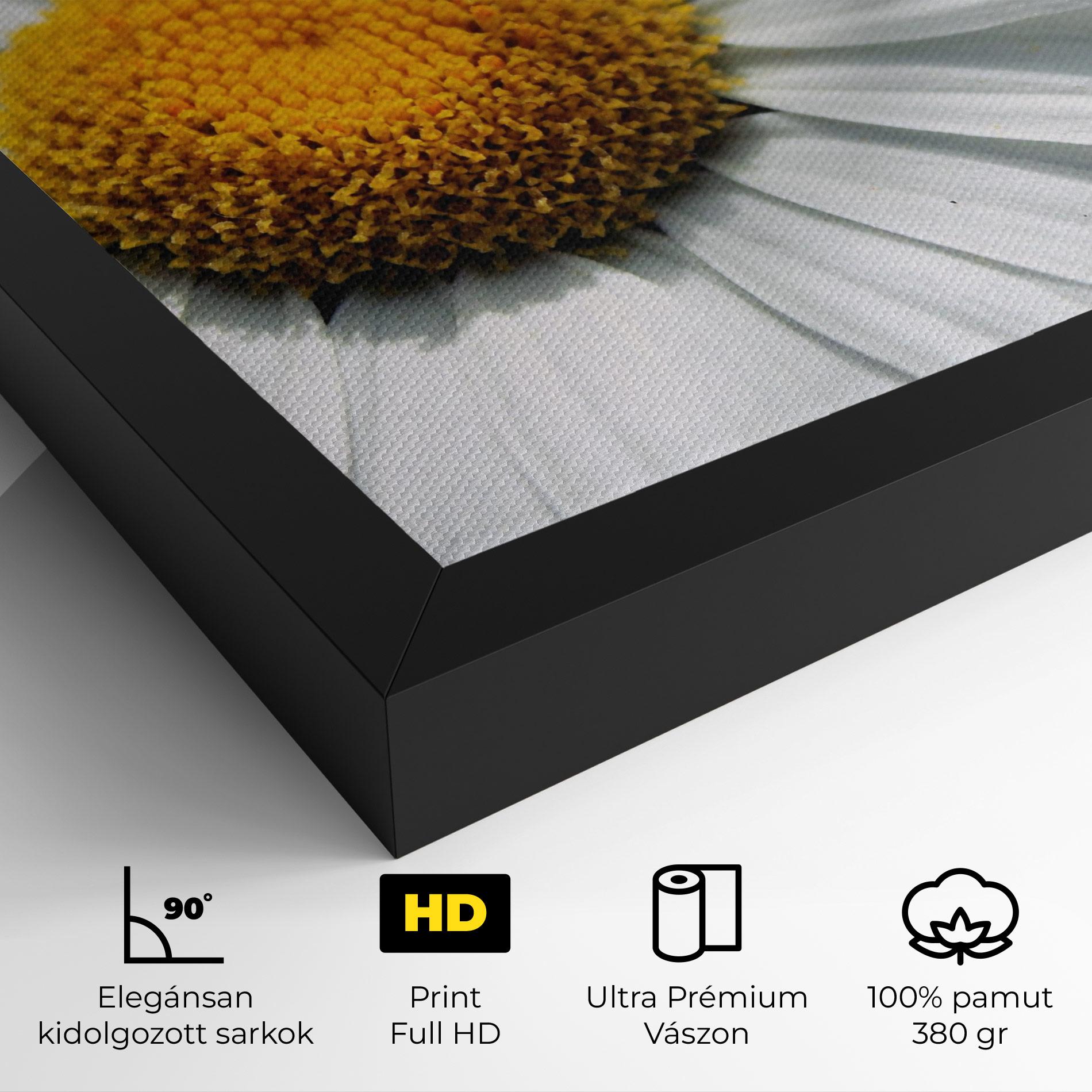 Vászonkép Big Daisies mockup 4