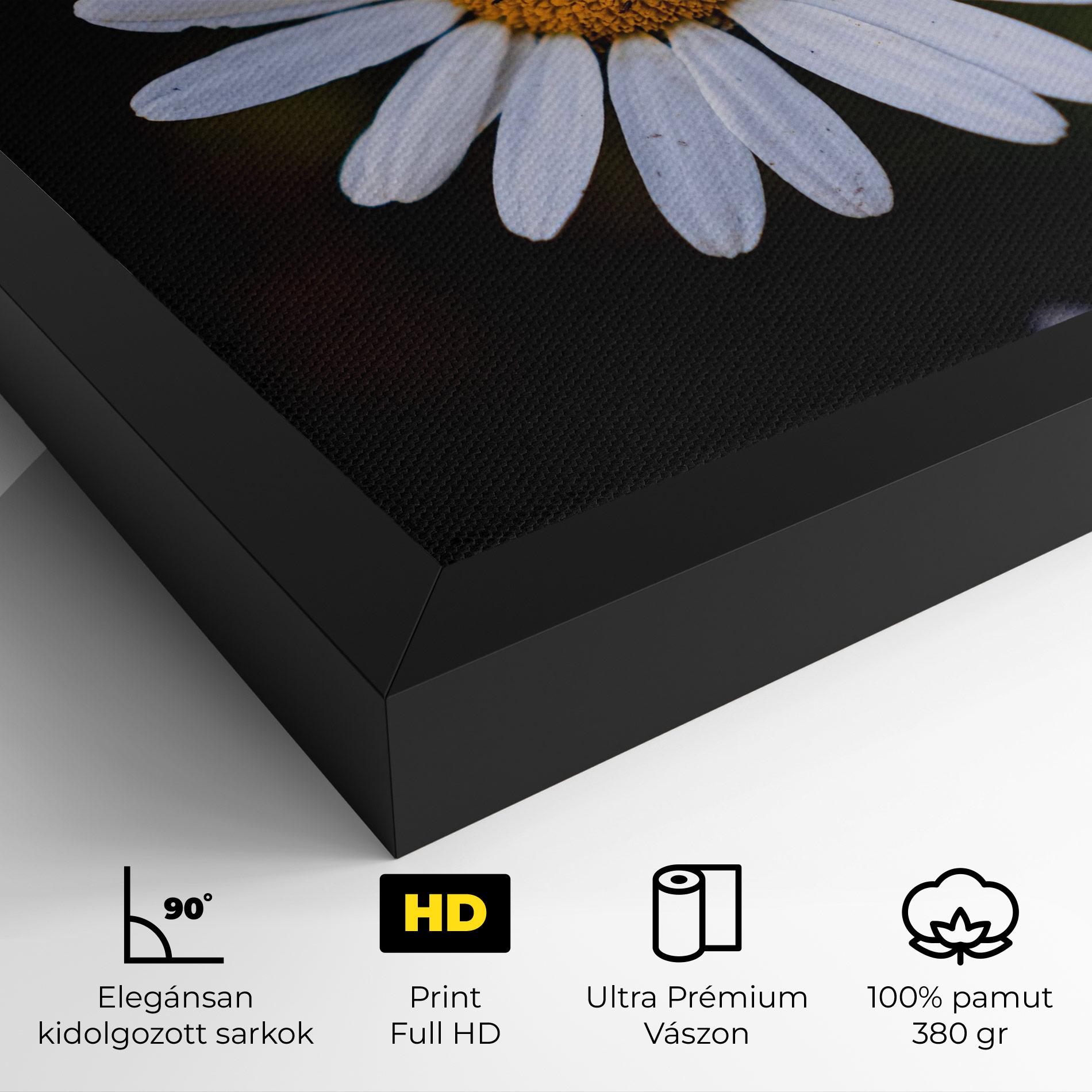 Vászonkép Big Yellow Center Daisy mockup 4