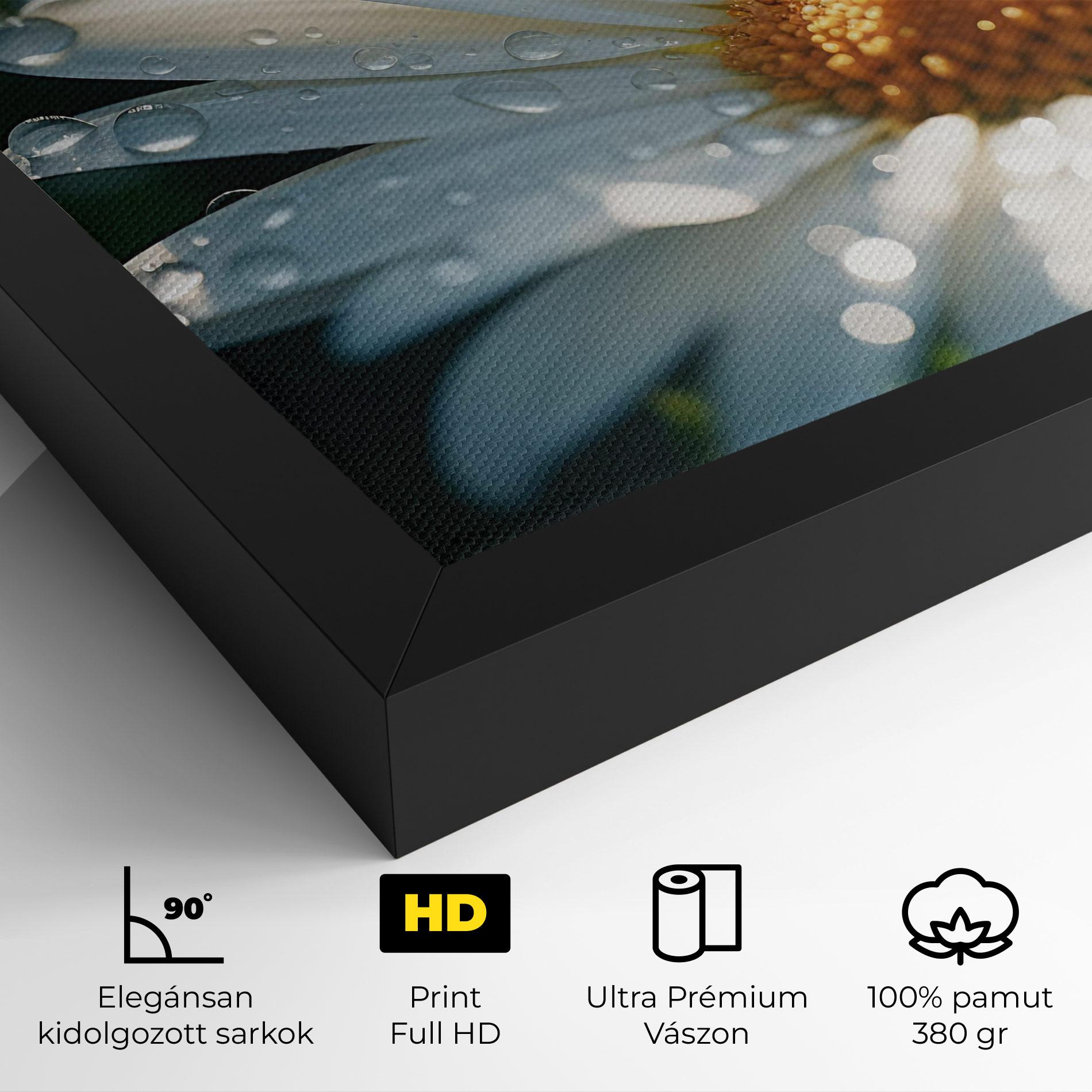 Vászonkép Daisy After Rain Close Up mockup 4