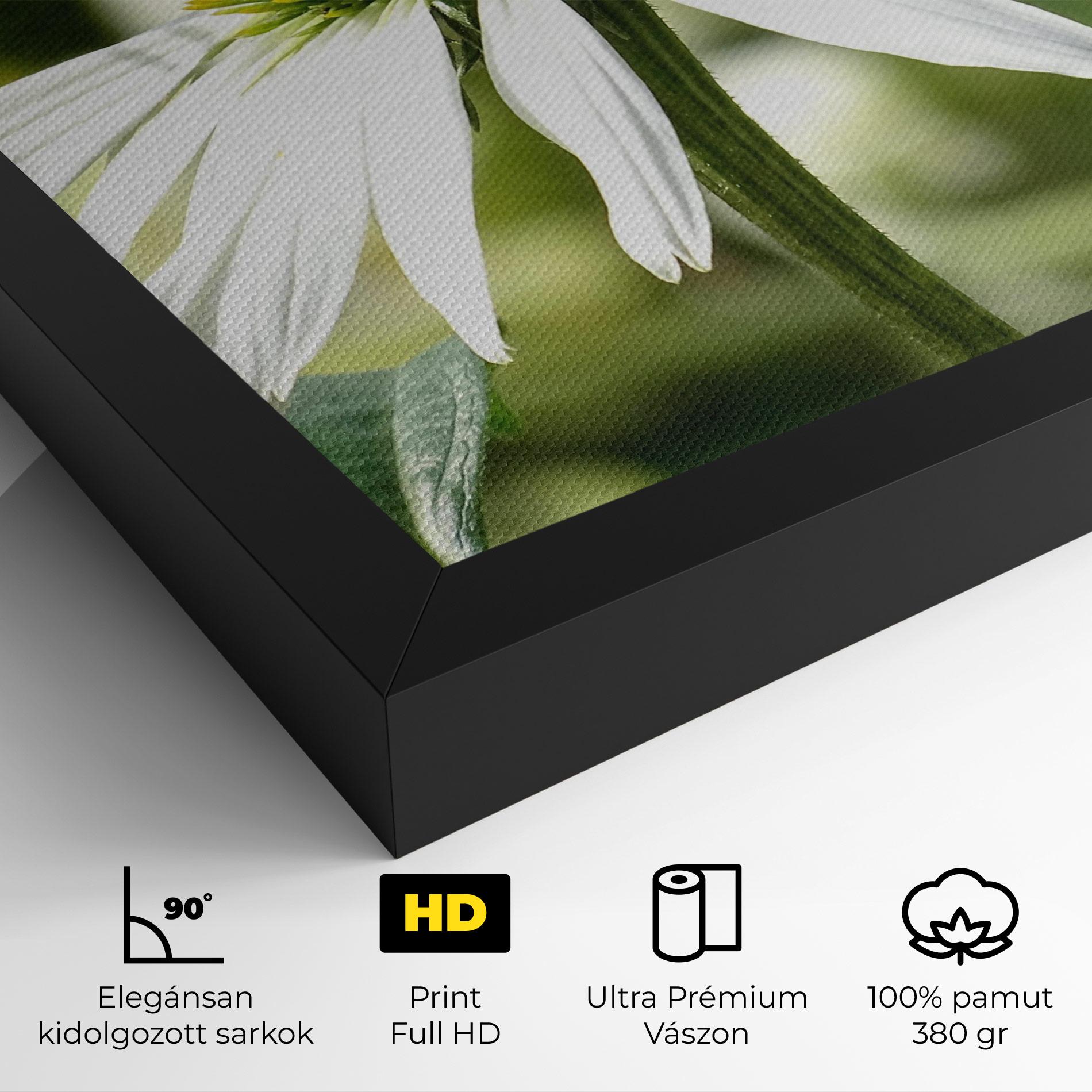 Vászonkép Green Daisy mockup 4