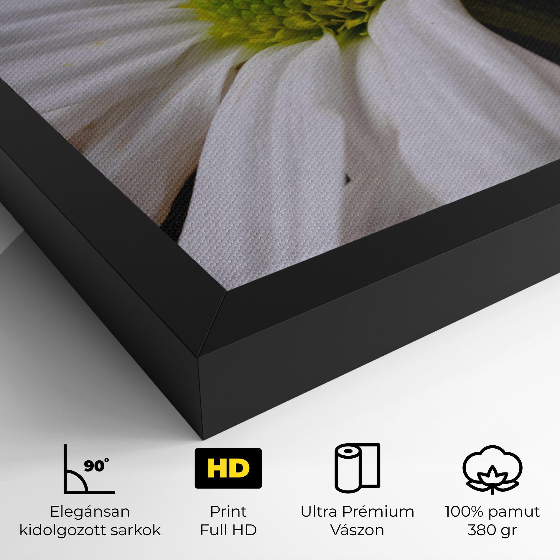 Vászonkép Green Middle Daisy mockup 4