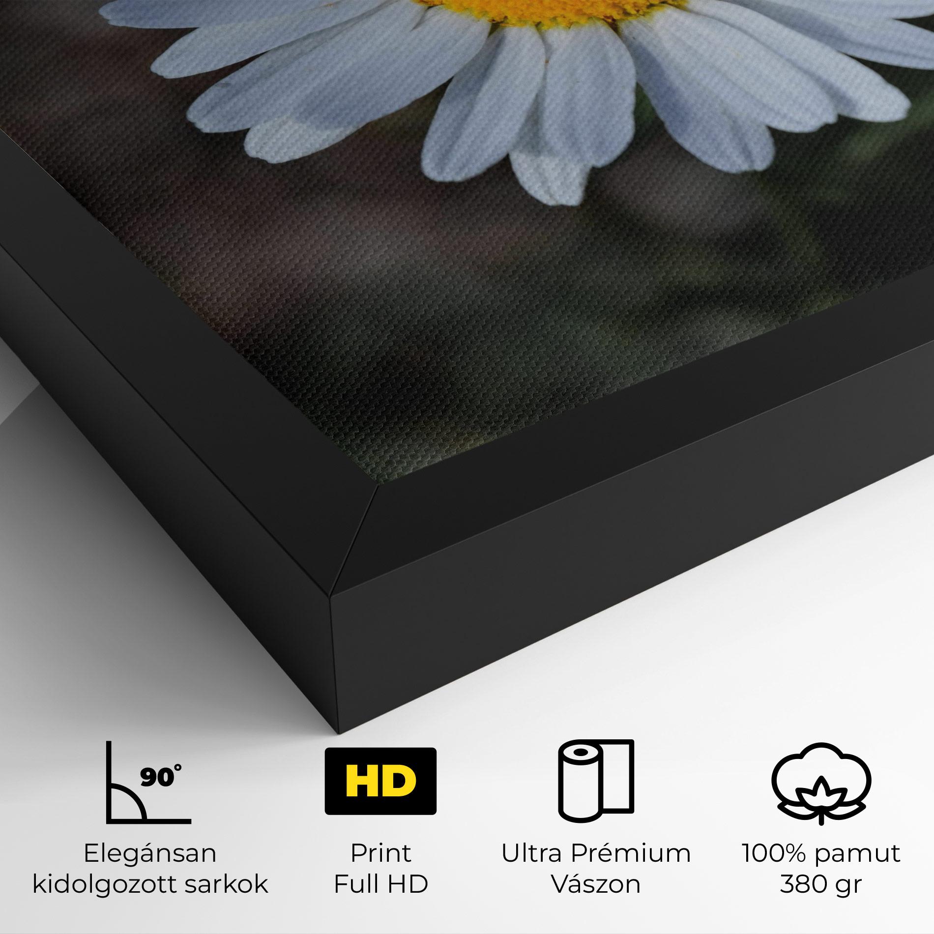 Vászonkép Strong Yellow Daisy mockup 4