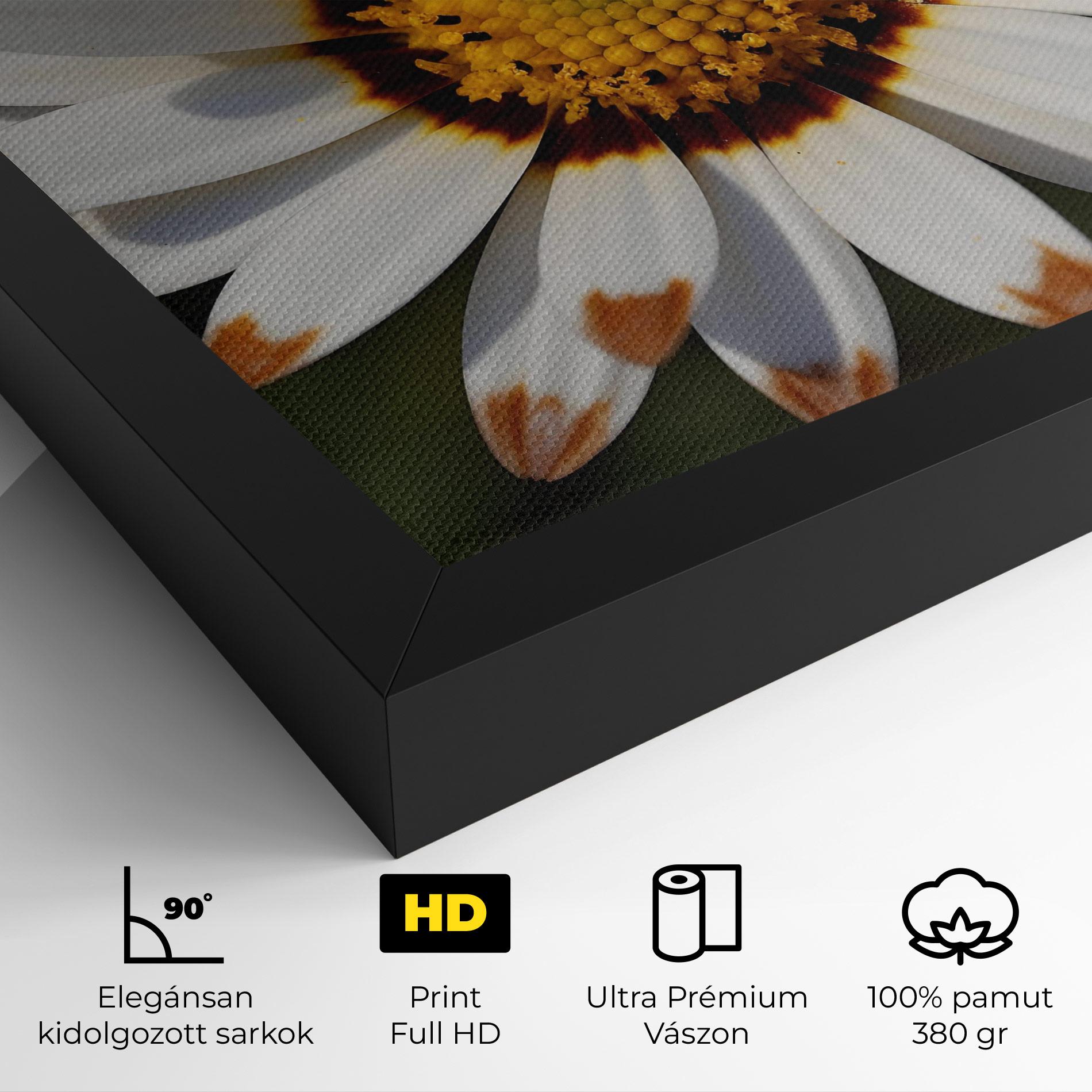 Vászonkép White Brown Daisy mockup 4
