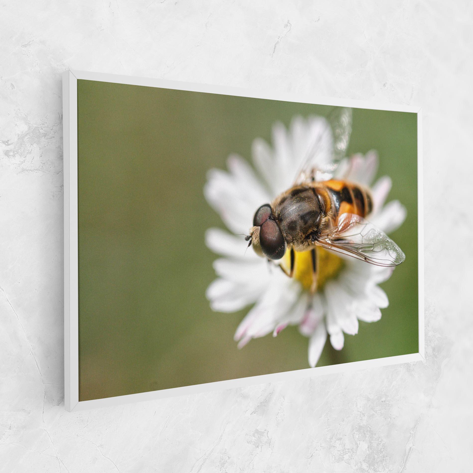 Vászonkép Bee On Small Daisy mockup 1