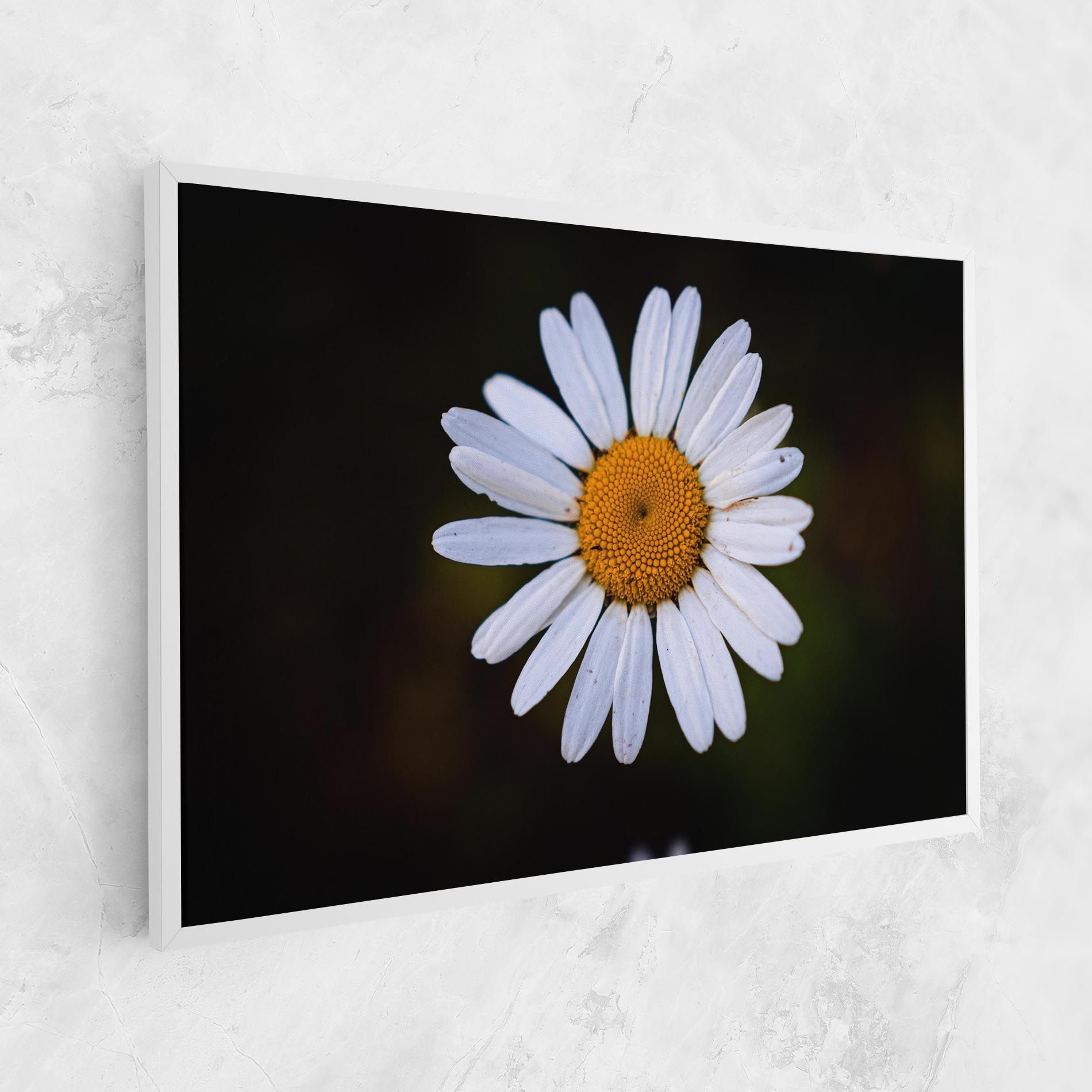Big Yellow Center Daisy mockup 1