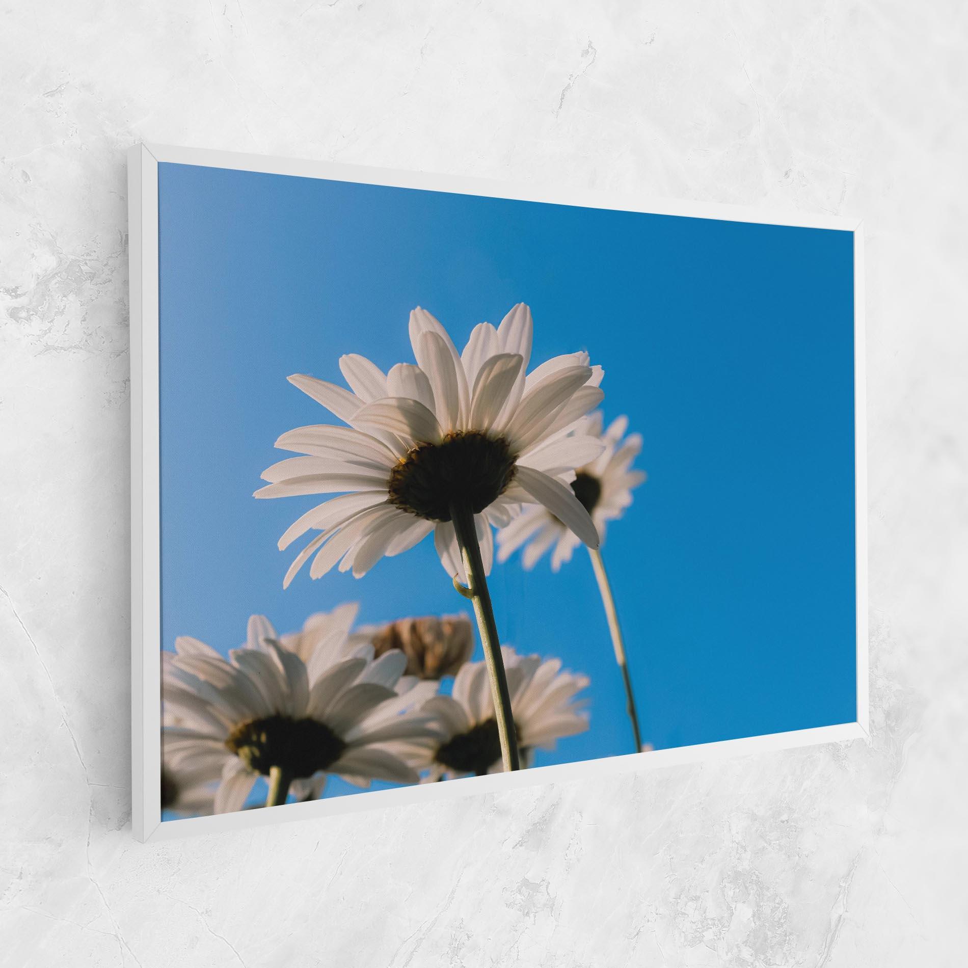 Vászonkép Blue Sky Daisy mockup 1