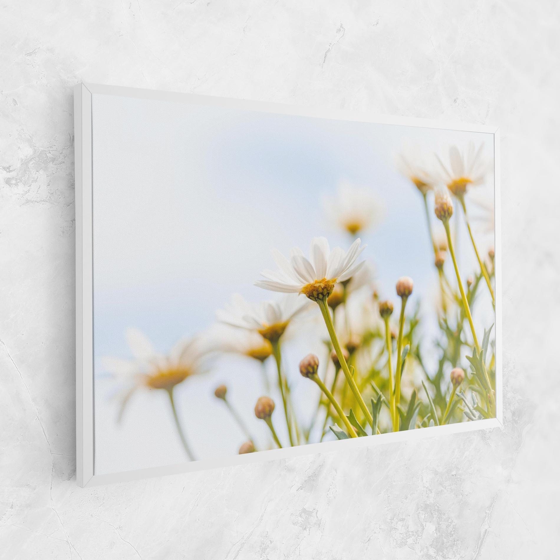 Vászonkép Dreamy Daisy mockup 1