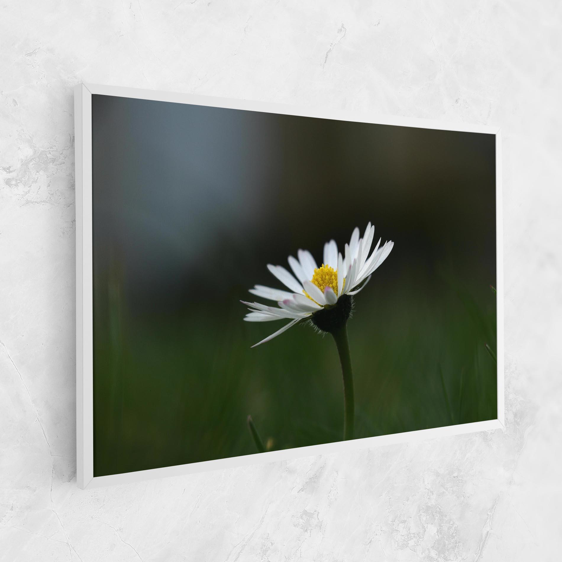 Vászonkép Garden Daisy mockup 1