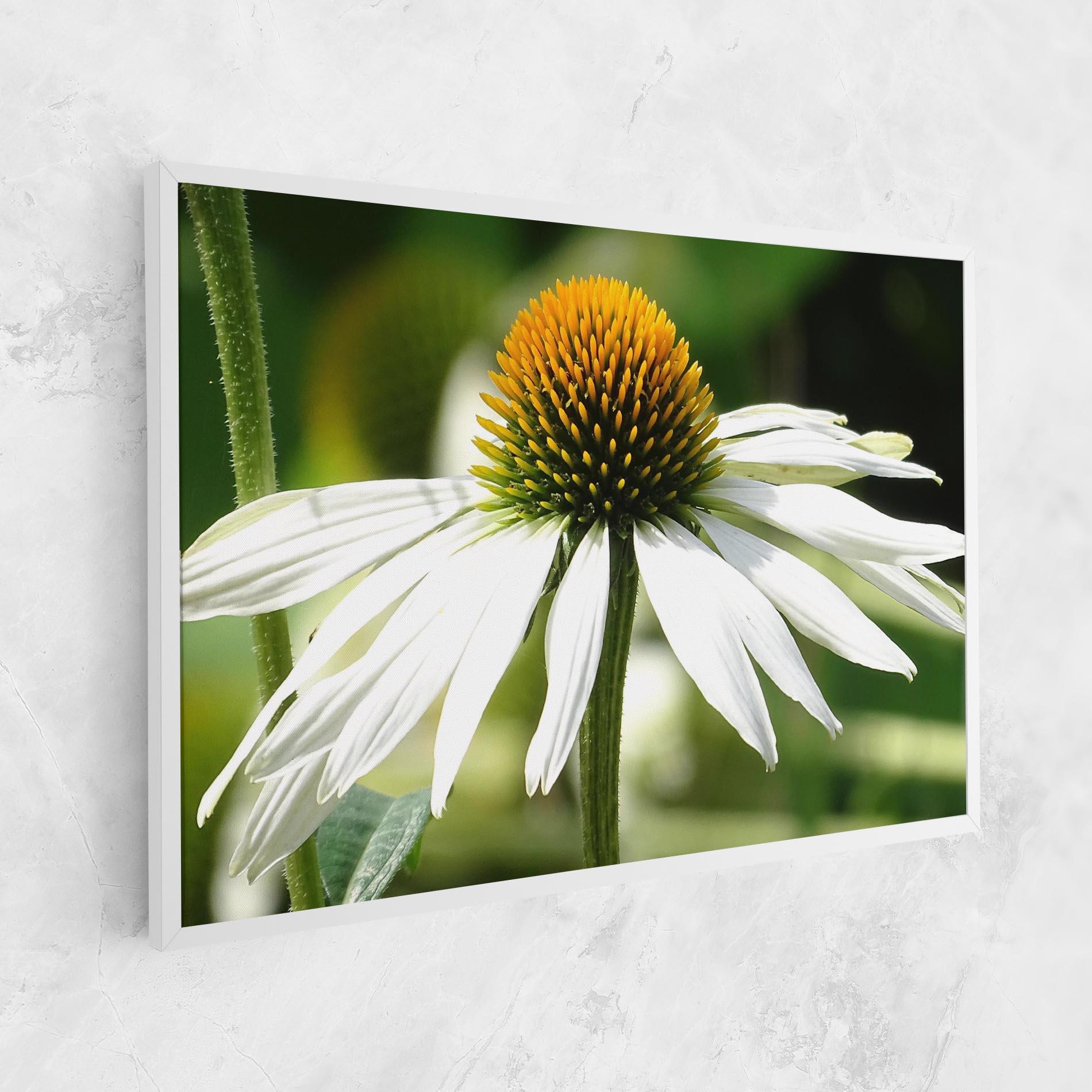 Vászonkép Green Daisy mockup 1