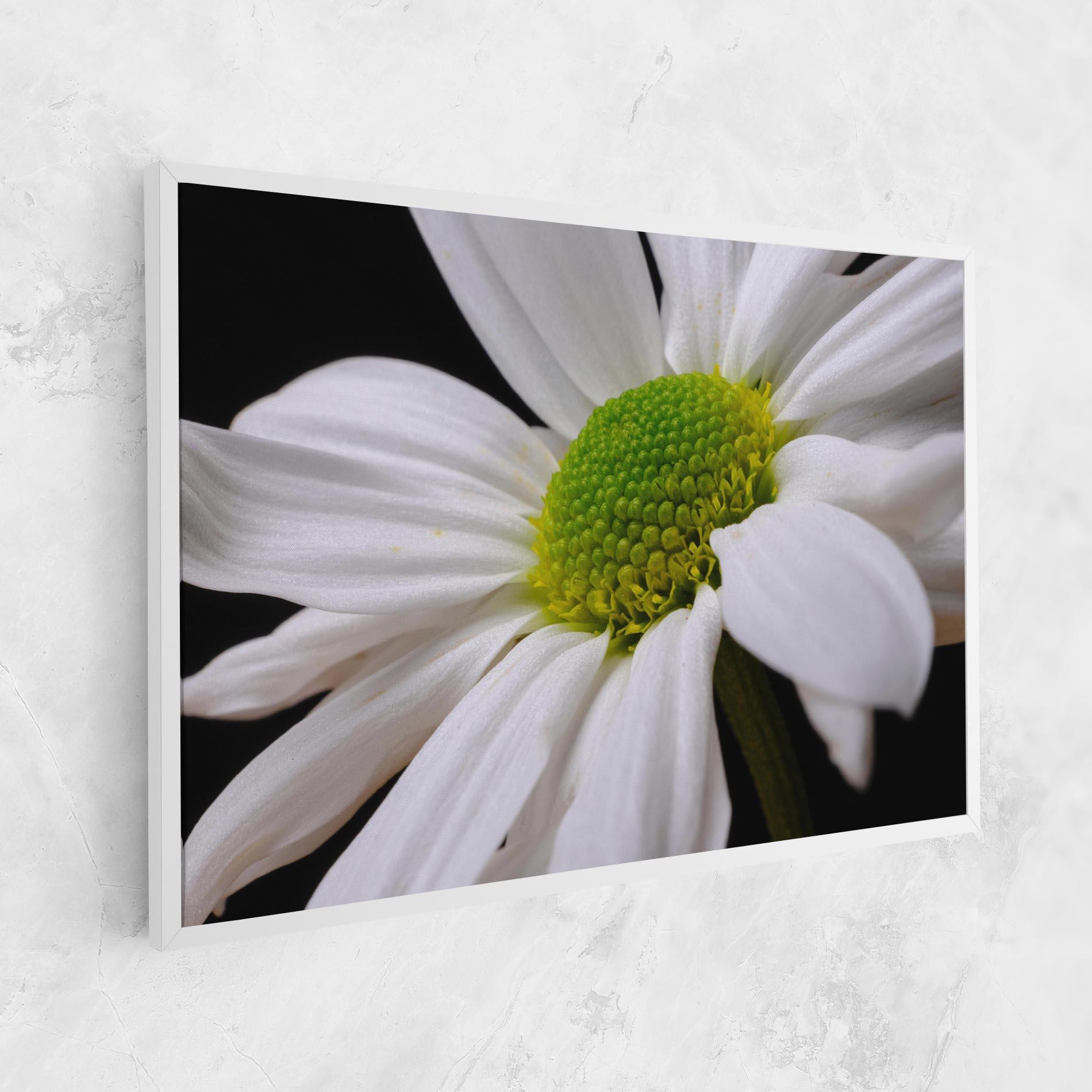 Vászonkép Green Middle Daisy mockup 1