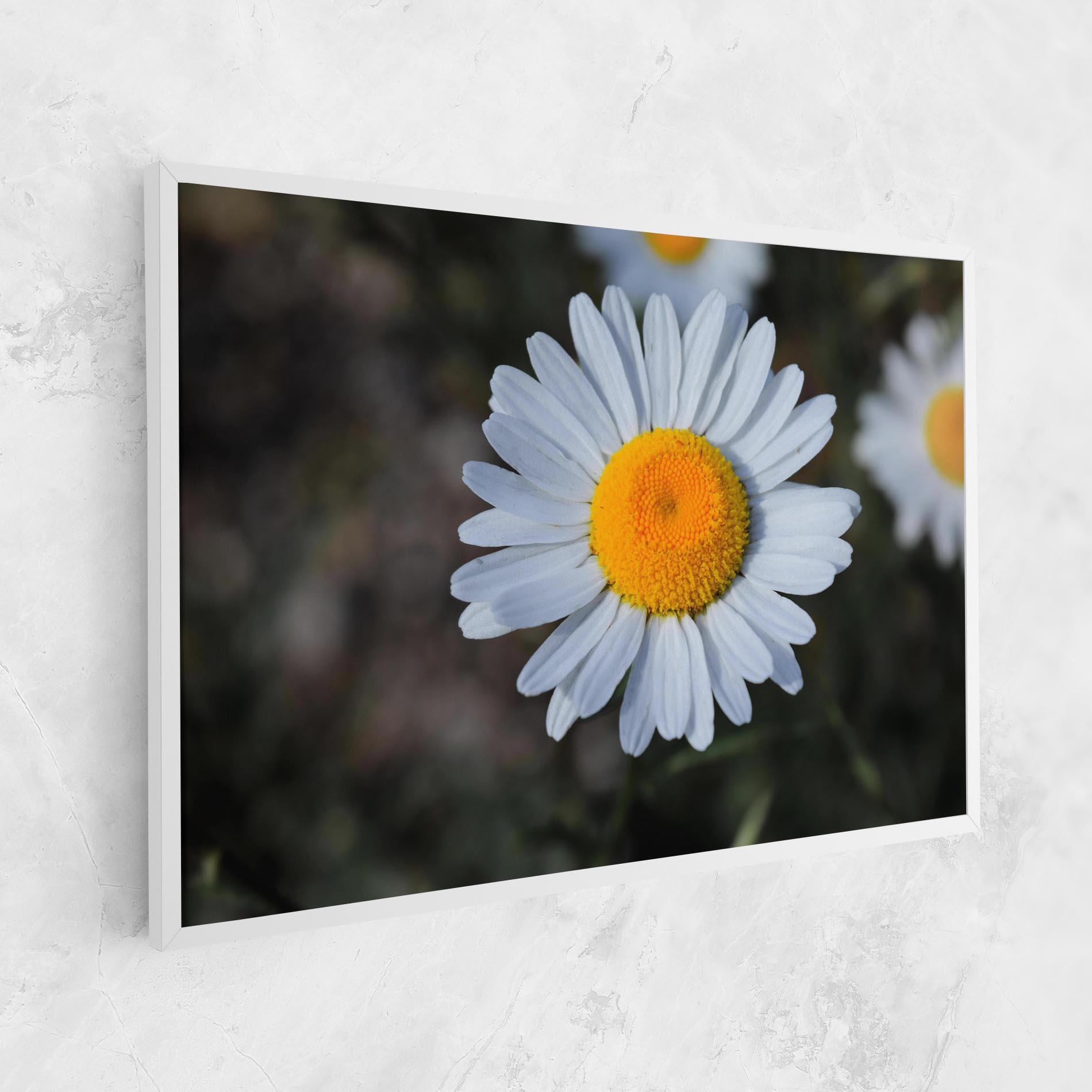 Vászonkép Strong Yellow Daisy mockup 1
