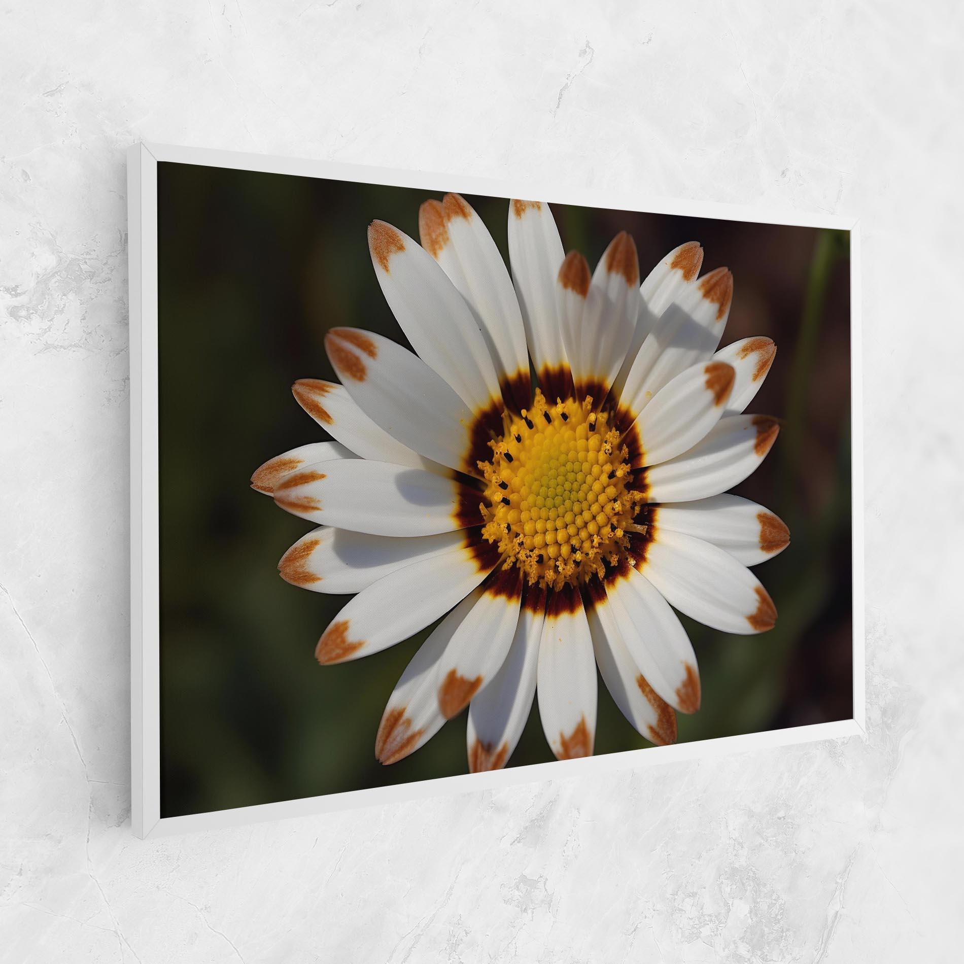 Vászonkép White Brown Daisy mockup 1