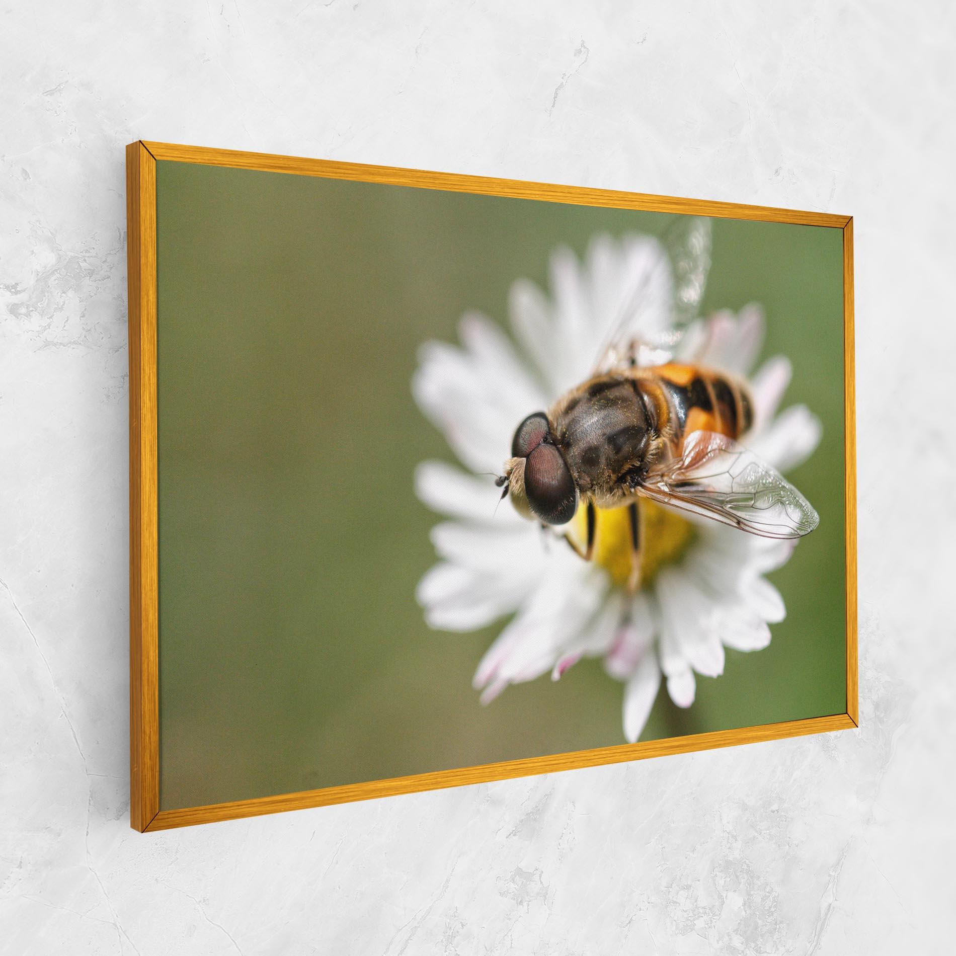 Vászonkép Bee On Small Daisy mockup 1