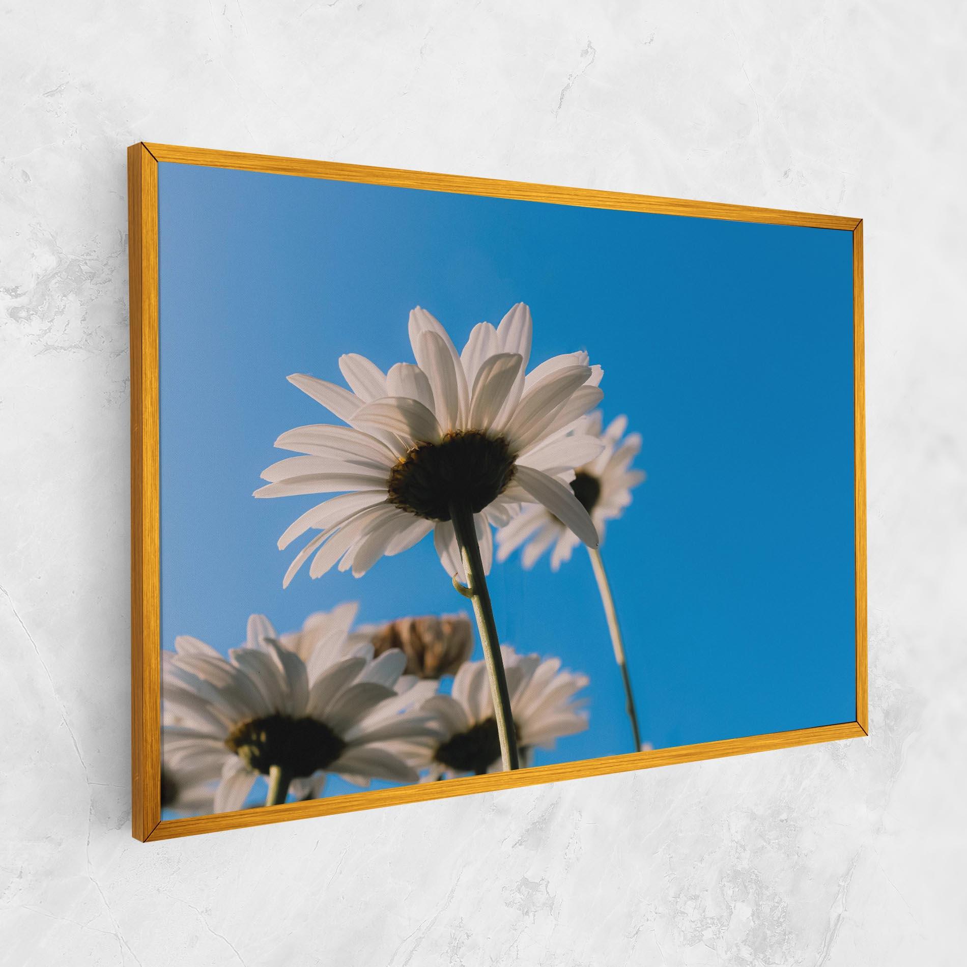 Vászonkép Blue Sky Daisy mockup 1
