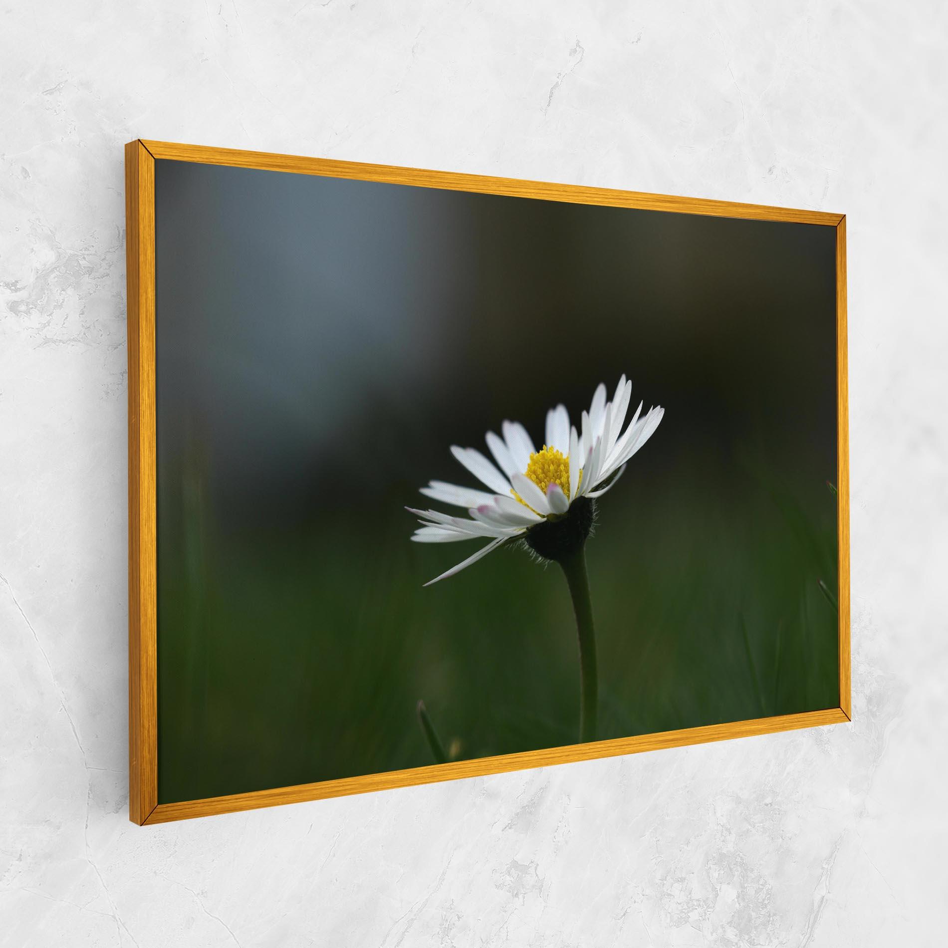 Vászonkép Garden Daisy mockup 1