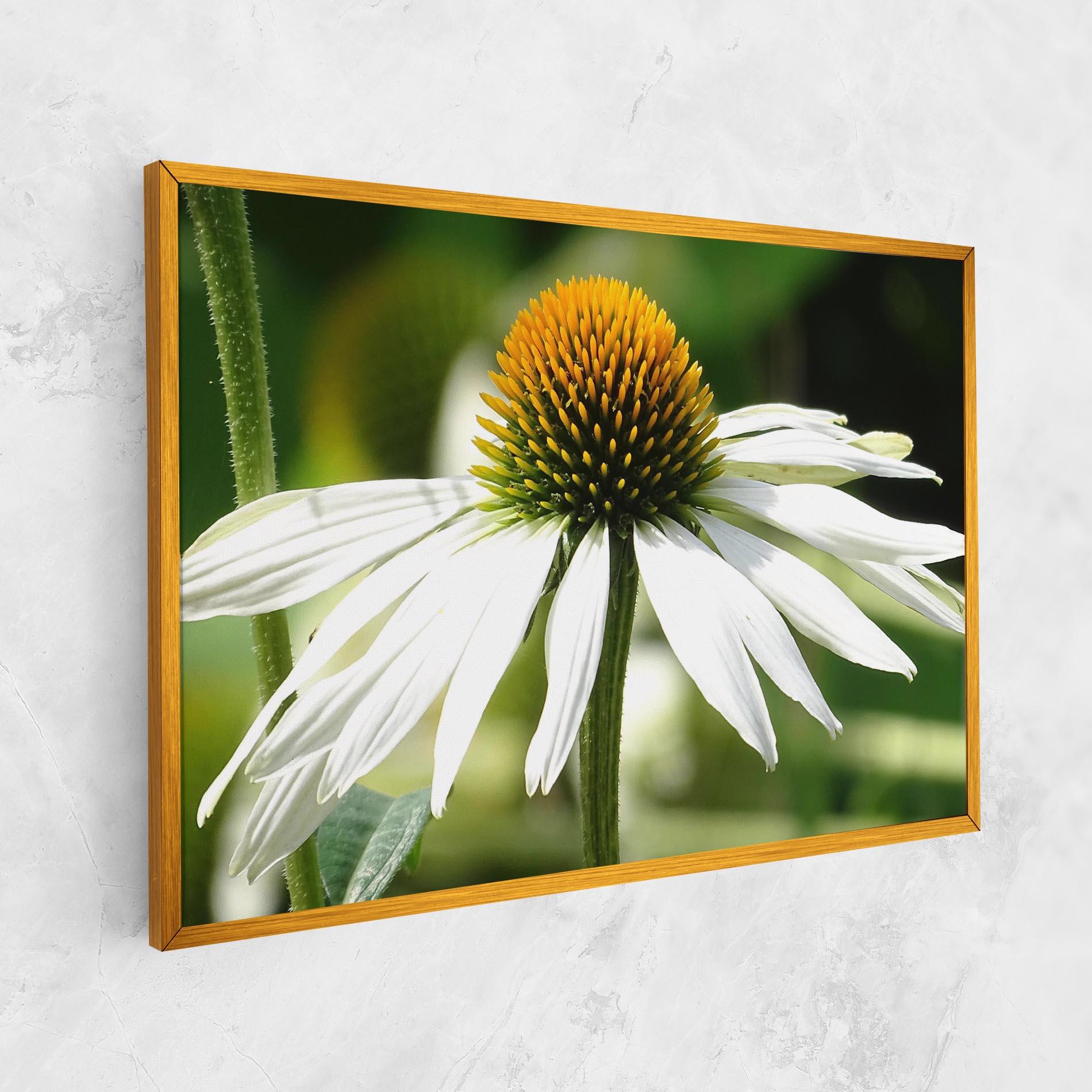 Vászonkép Green Daisy mockup 1