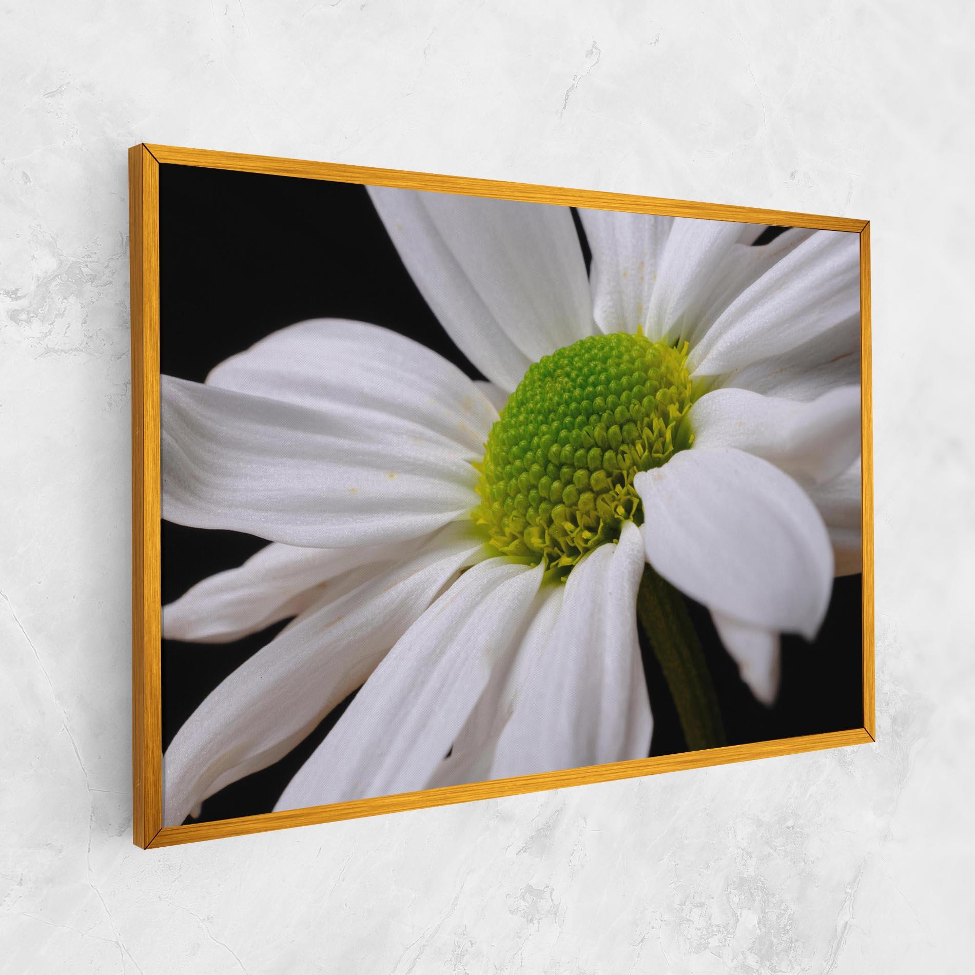 Vászonkép Green Middle Daisy mockup 1