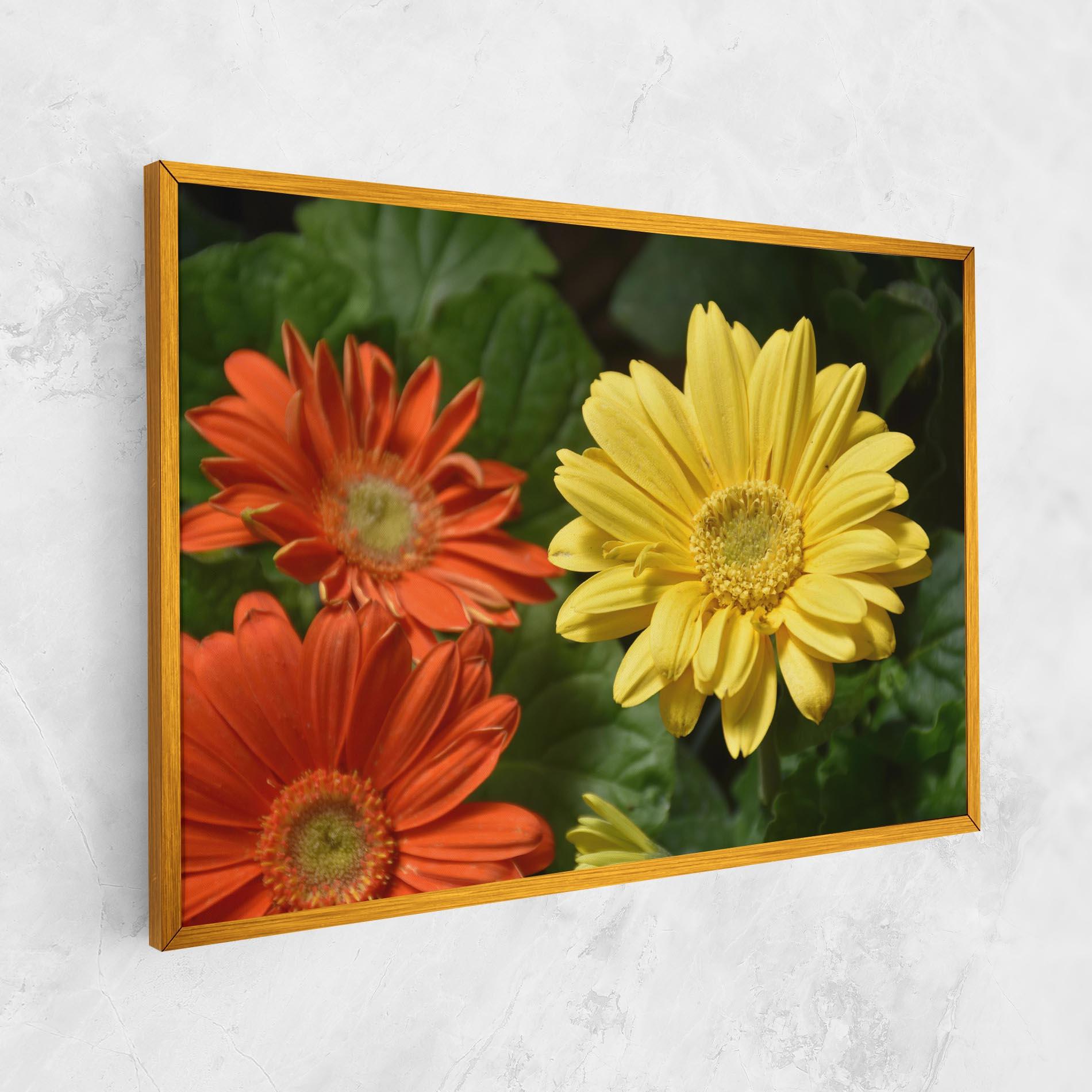 Vászonkép Orange Yellow Daisy mockup 1