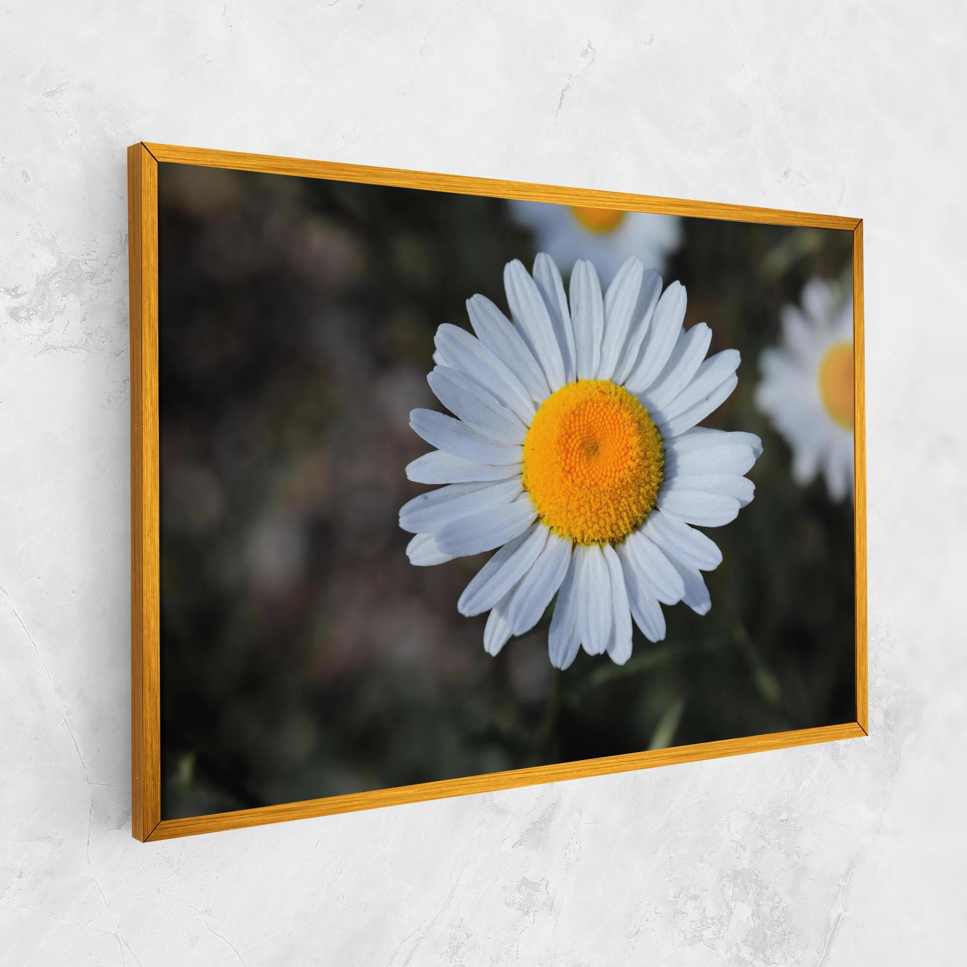 Vászonkép Strong Yellow Daisy mockup 1