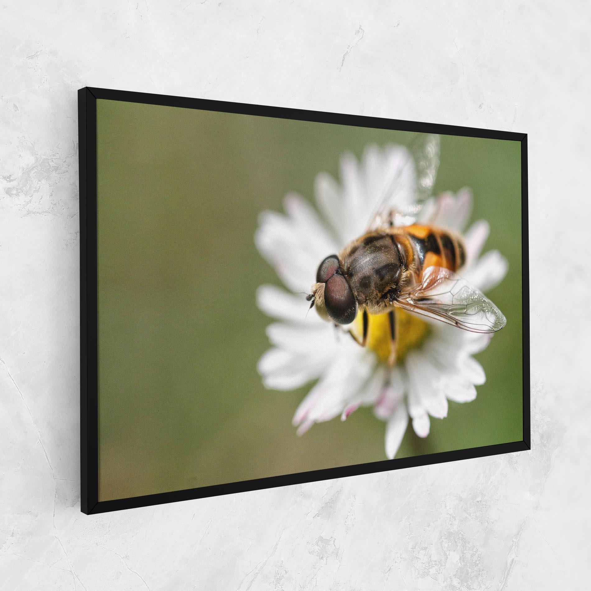 Vászonkép Bee On Small Daisy mockup 1