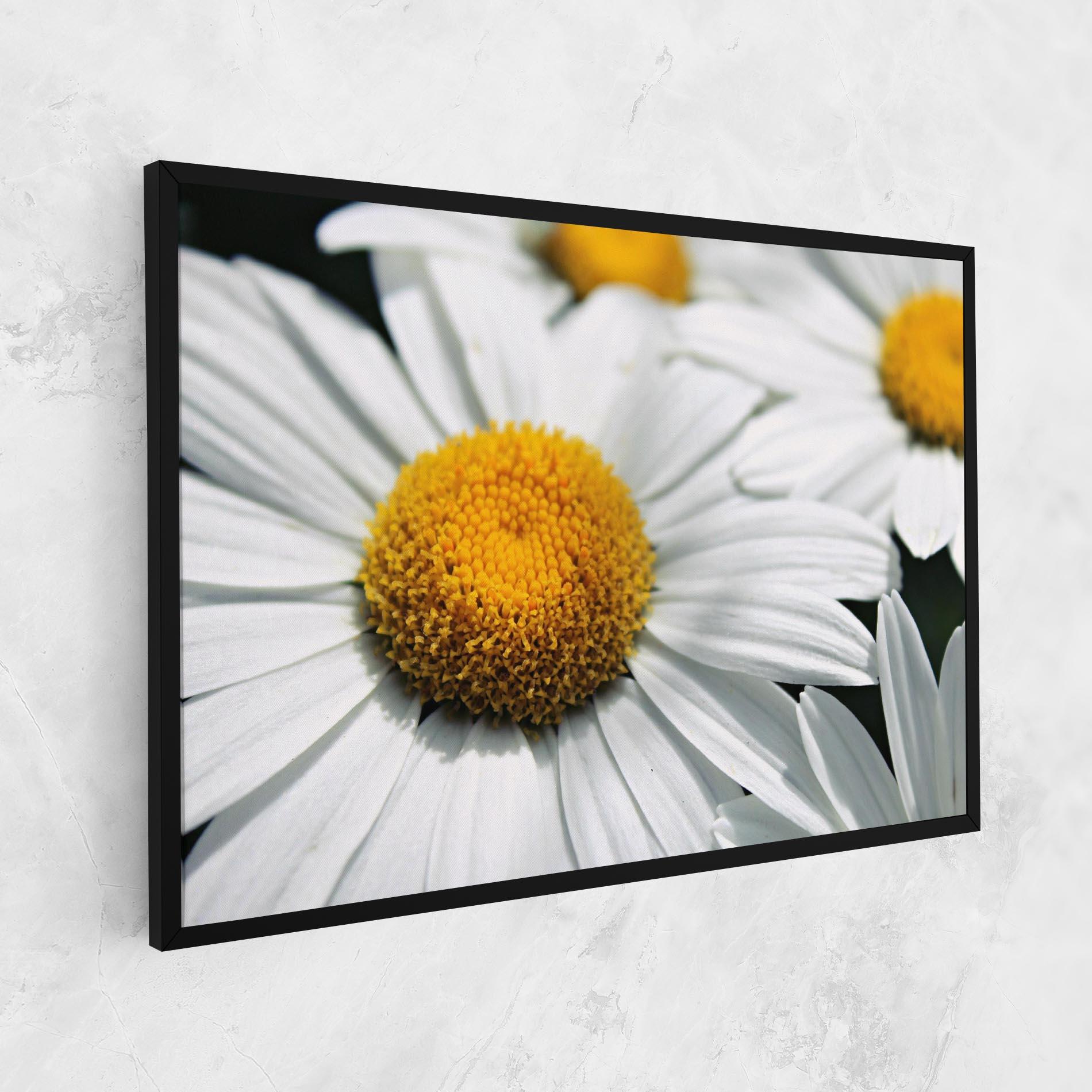 Vászonkép Big Daisies mockup 1