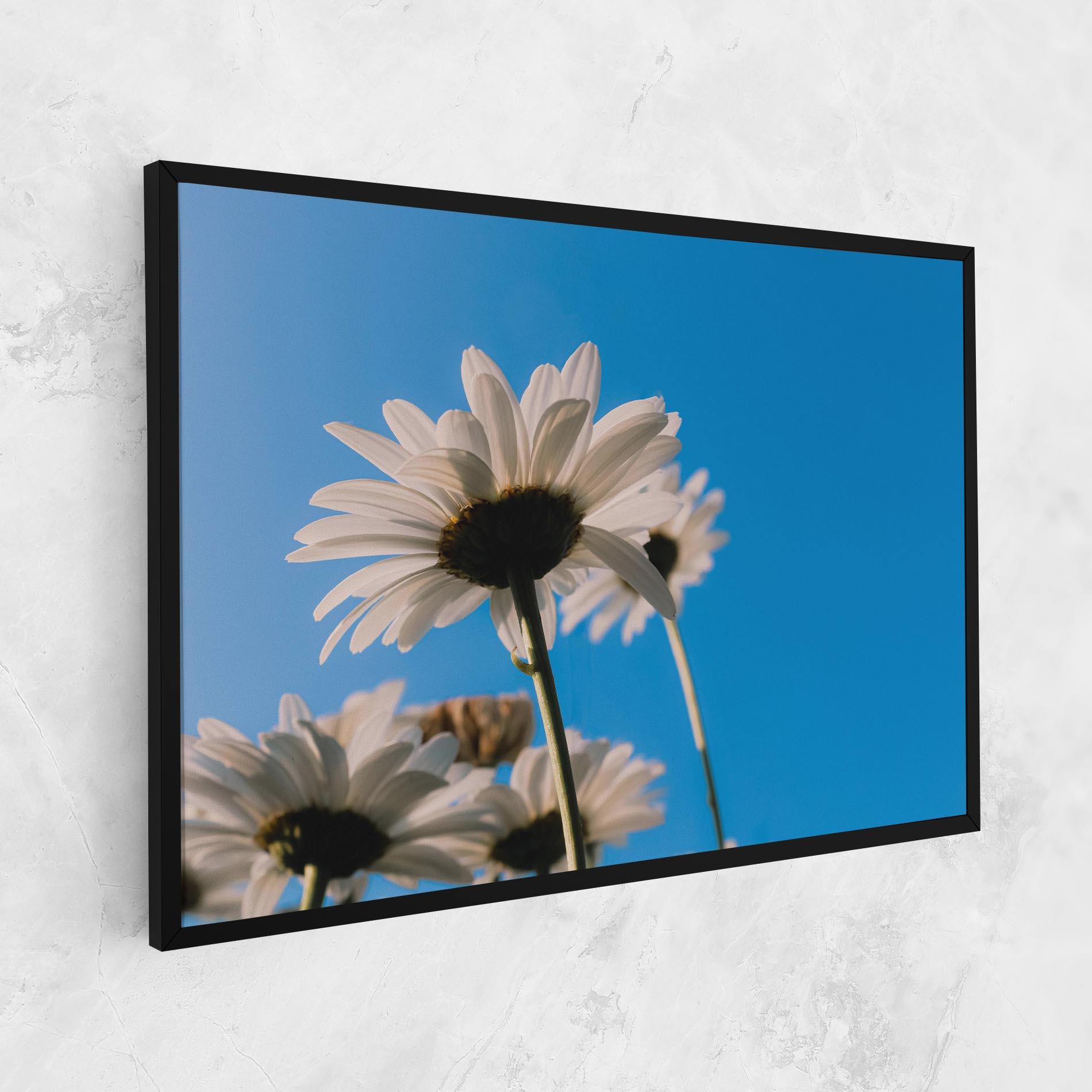 Vászonkép Blue Sky Daisy mockup 1