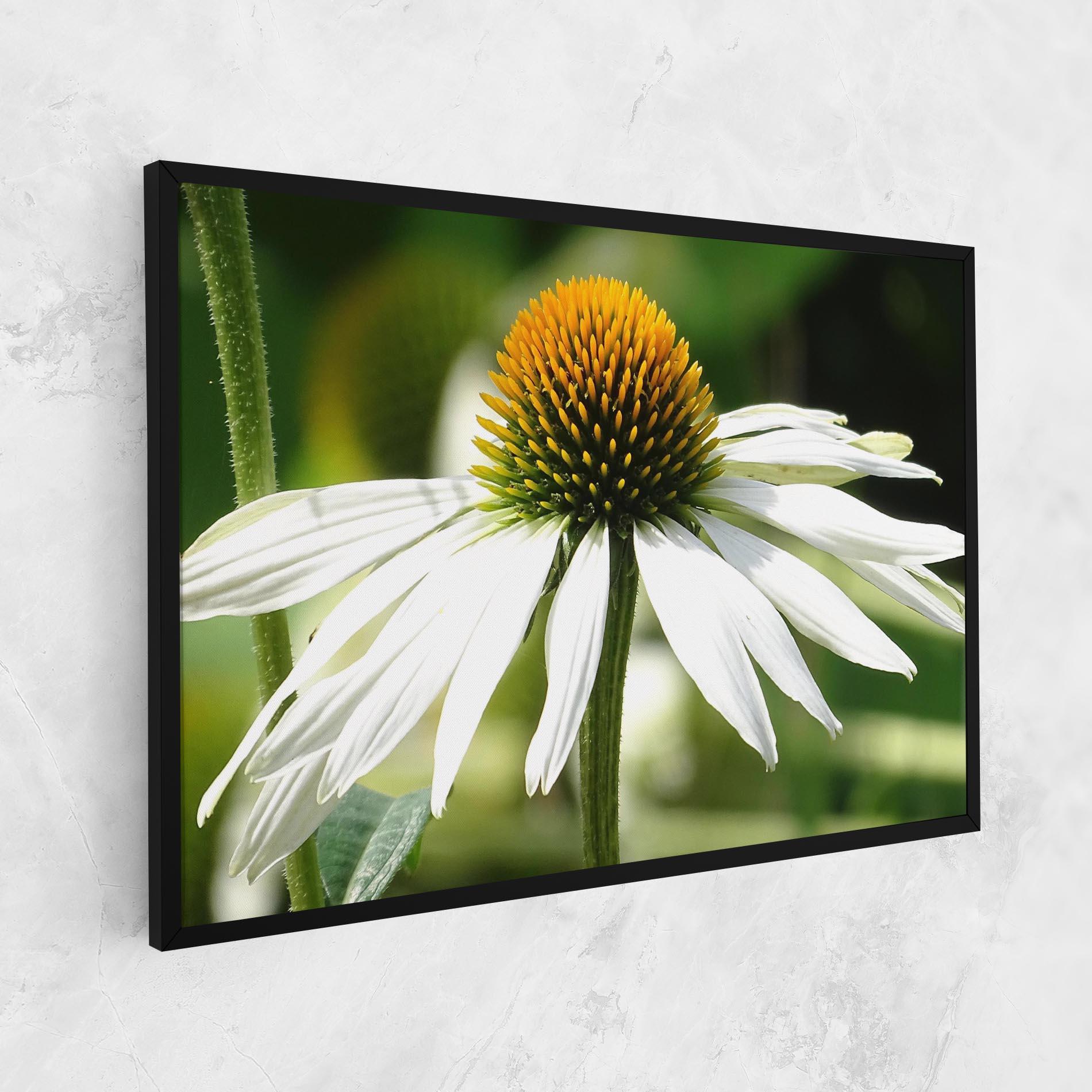 Vászonkép Green Daisy mockup 1