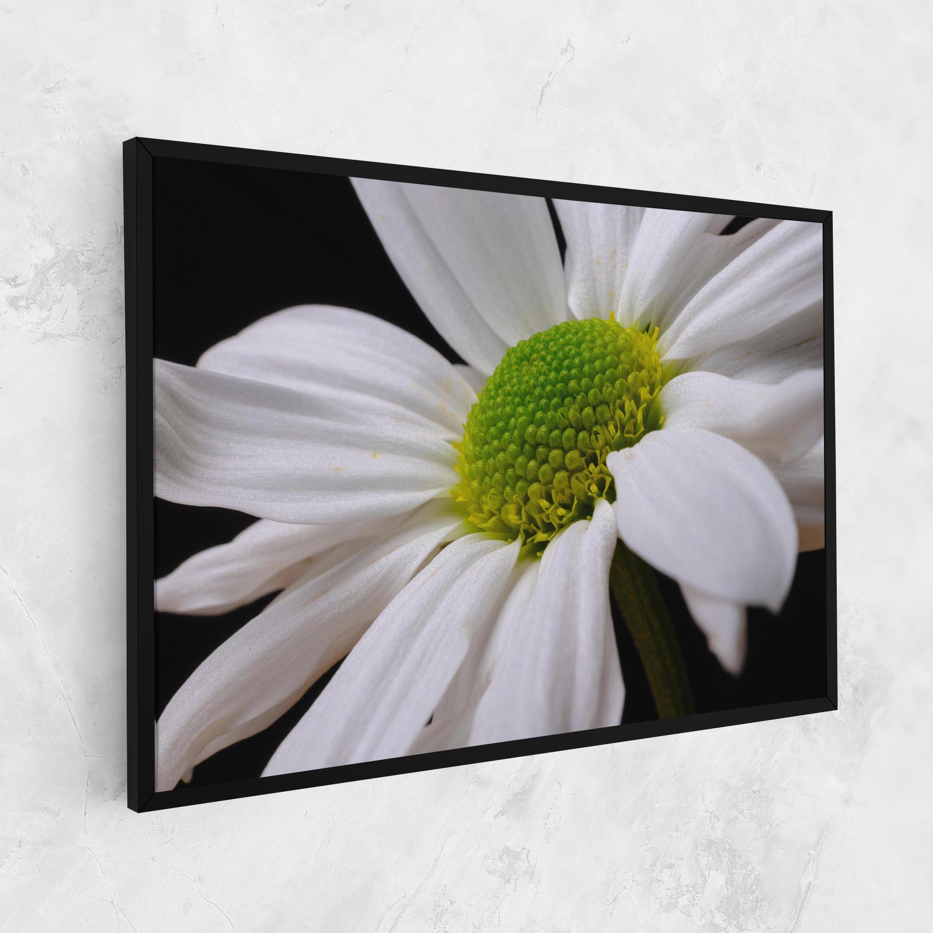 Vászonkép Green Middle Daisy mockup 1