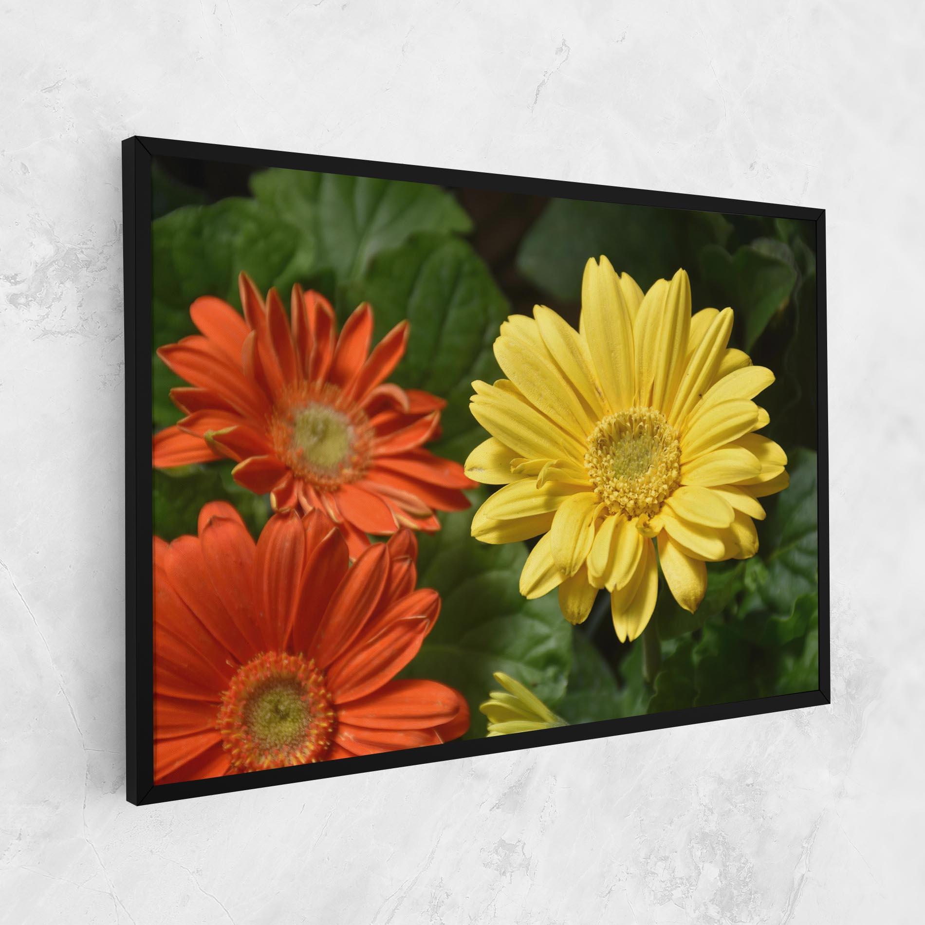 Vászonkép Orange Yellow Daisy mockup 1