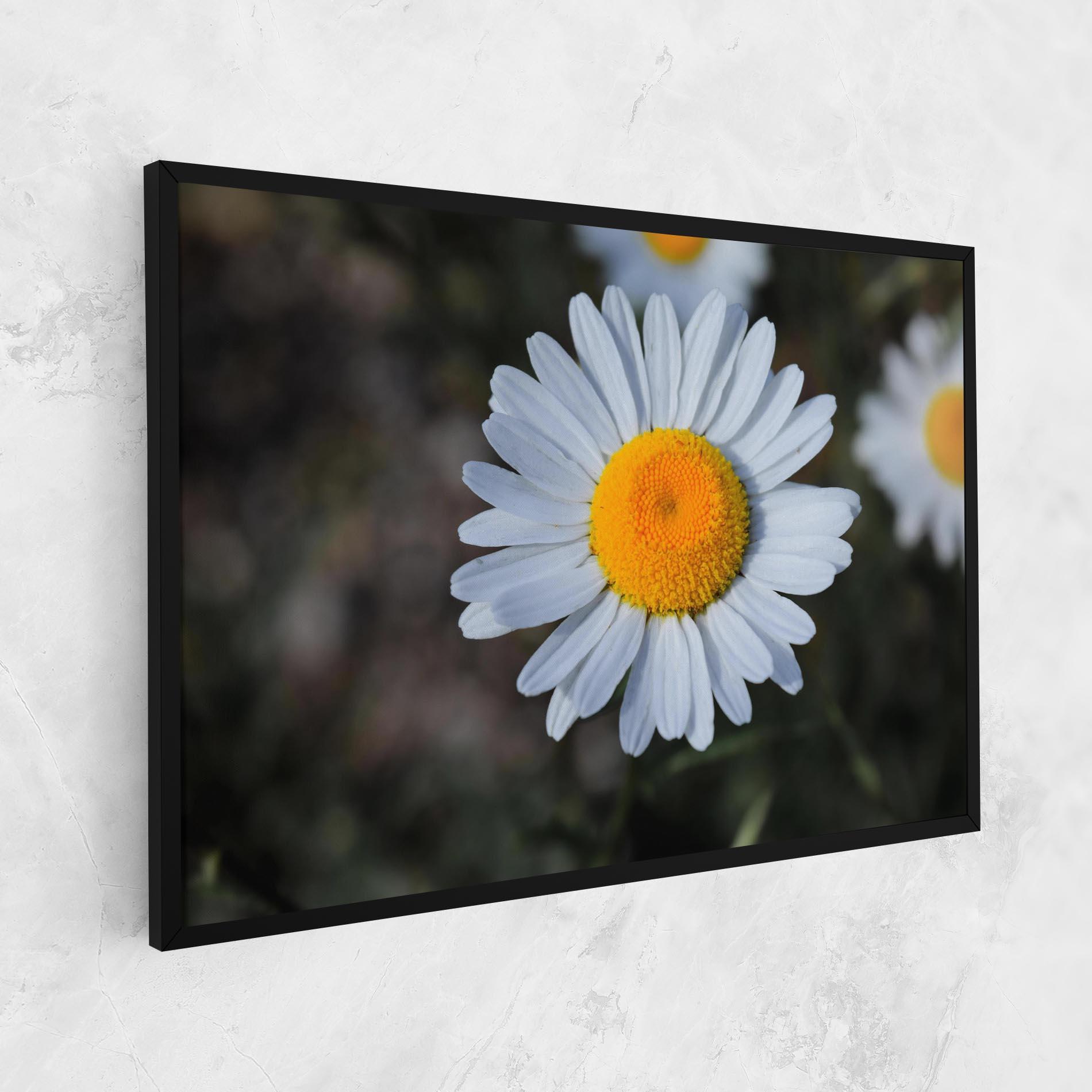 Vászonkép Strong Yellow Daisy mockup 1