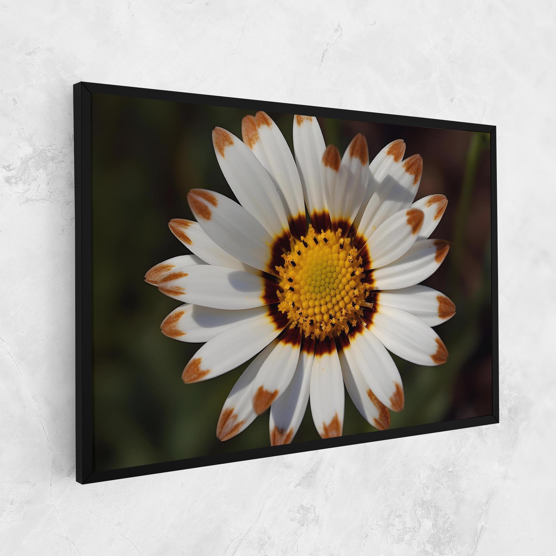 Vászonkép White Brown Daisy mockup 1