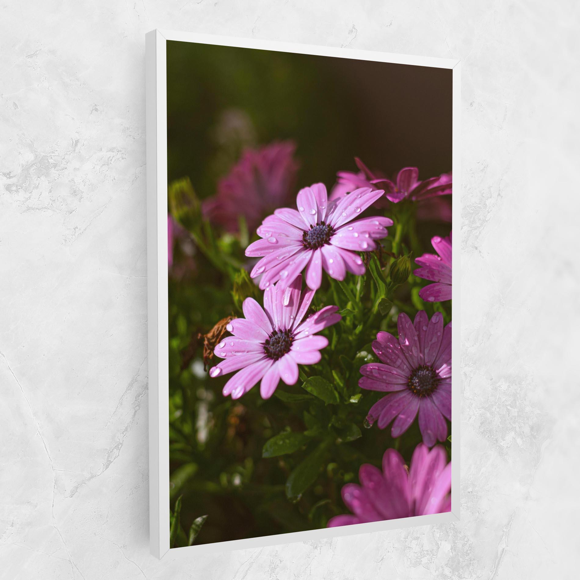 Vászonkép Purple Daisy mockup 1