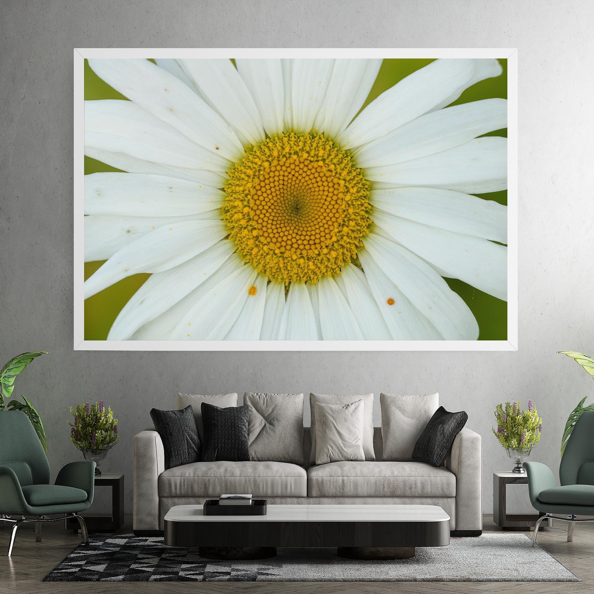 Vászonkép Daisy Close Up mockup 7