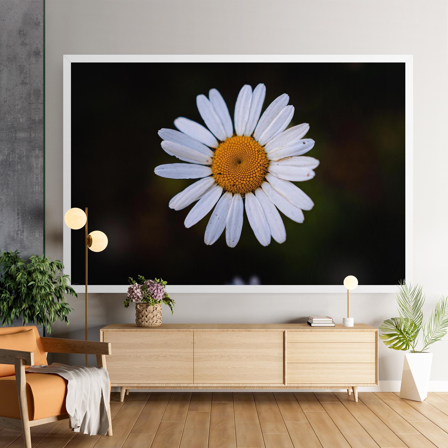 Vászonkép Big Yellow Center Daisy mockup 9