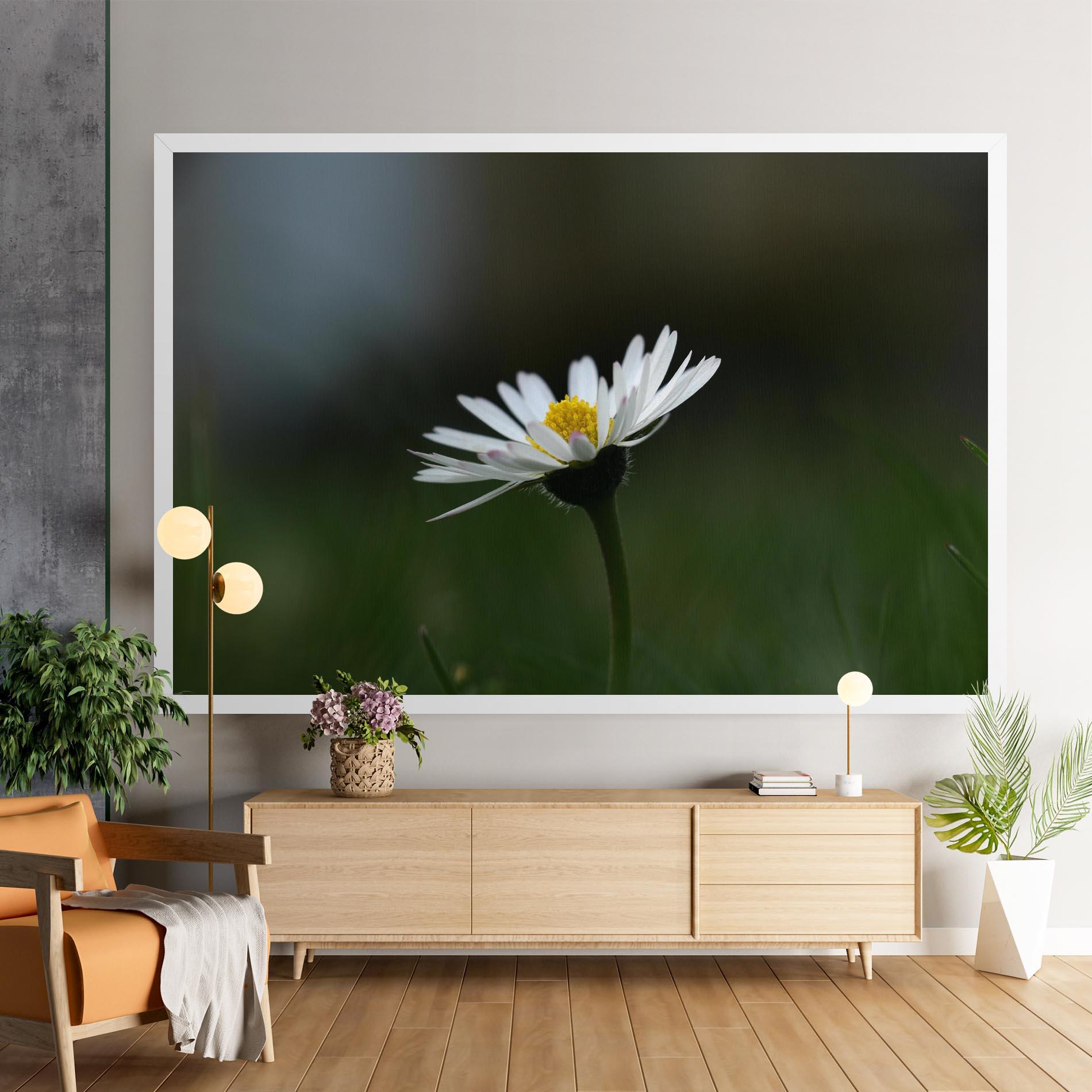 Vászonkép Garden Daisy mockup 9