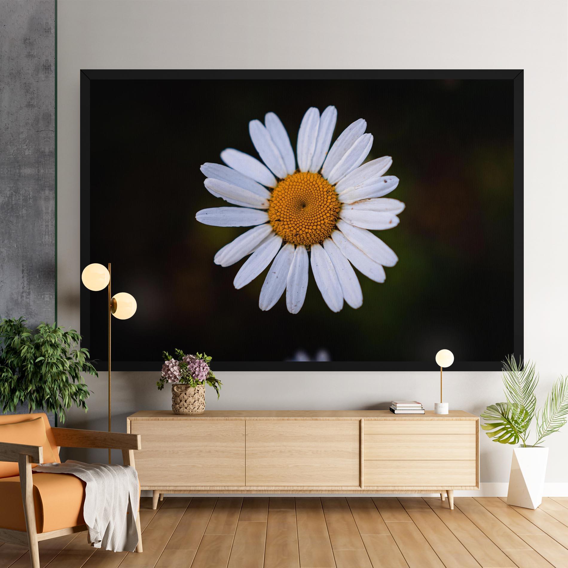 Vászonkép Big Yellow Center Daisy mockup 9