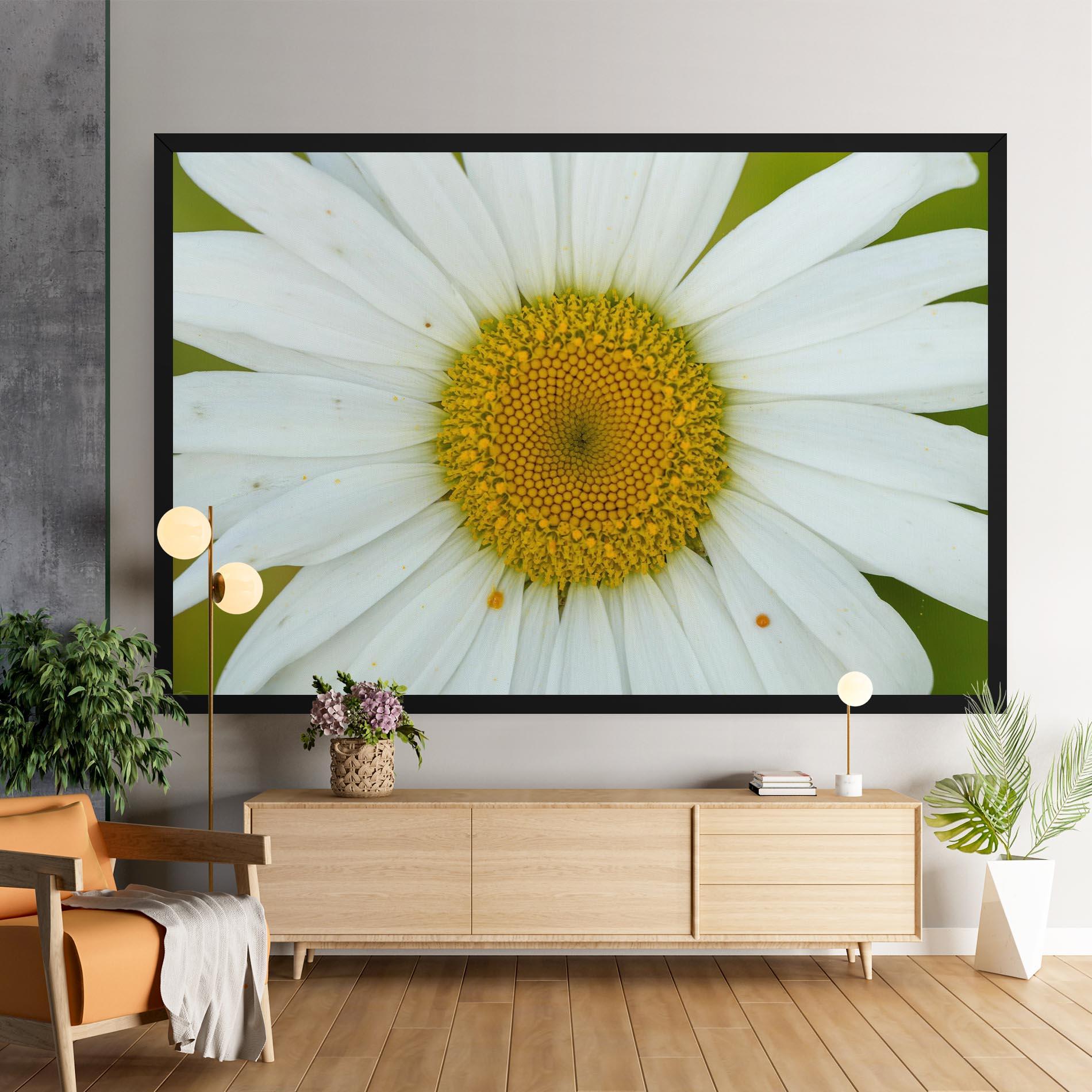 Vászonkép Daisy Close Up mockup 9