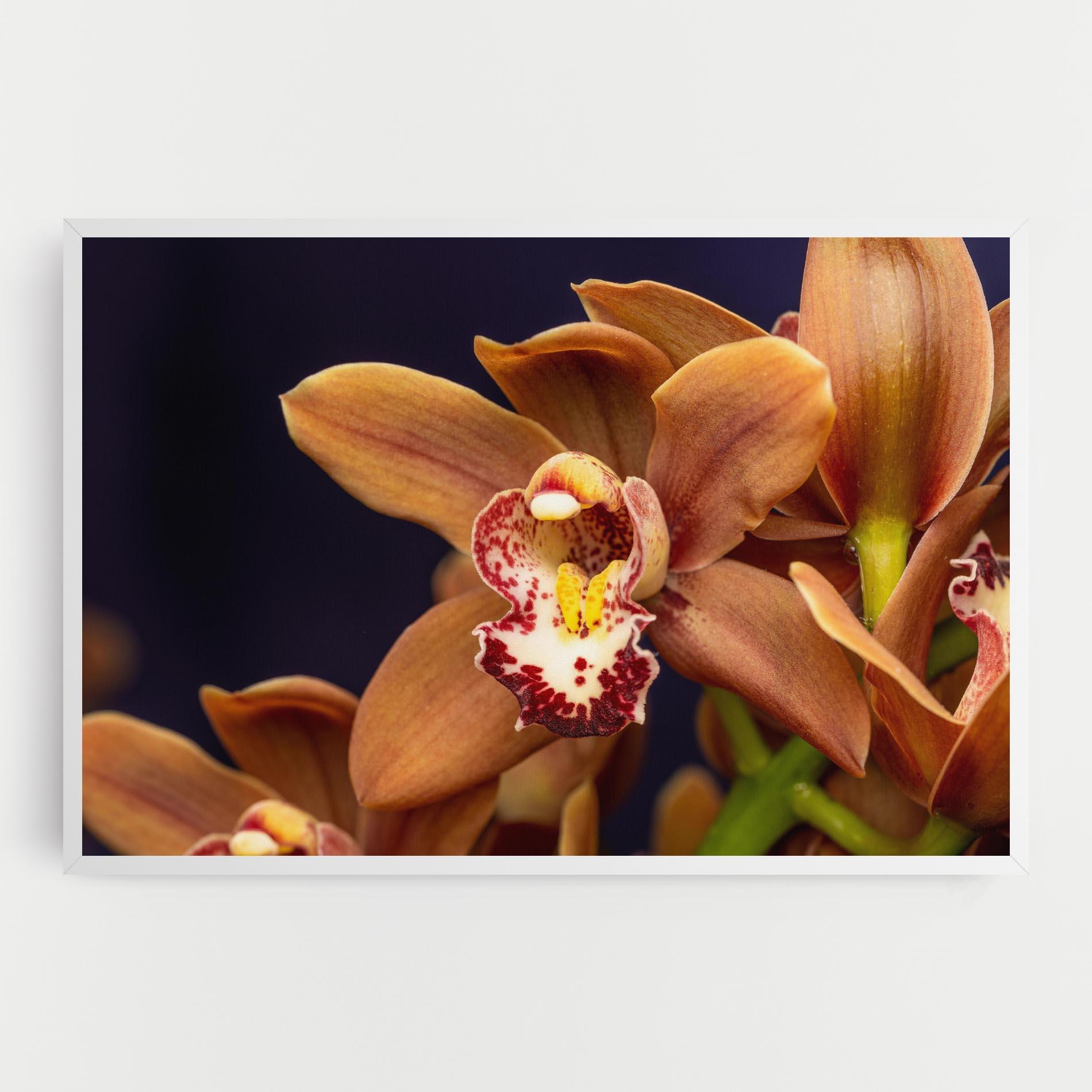 Vászonkép Dirty Orange Orchid mockup 0