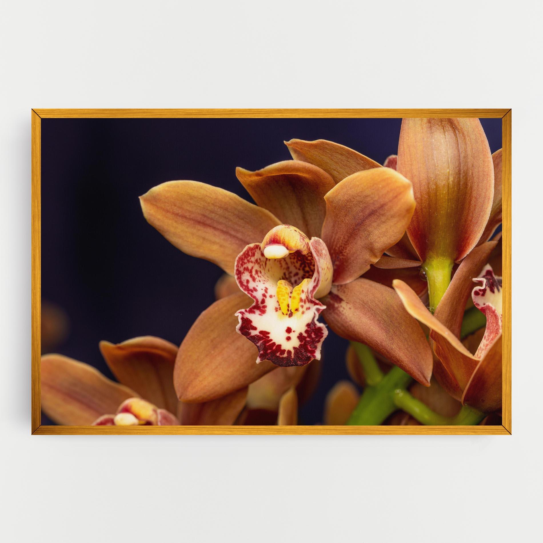 Vászonkép Dirty Orange Orchid mockup 0