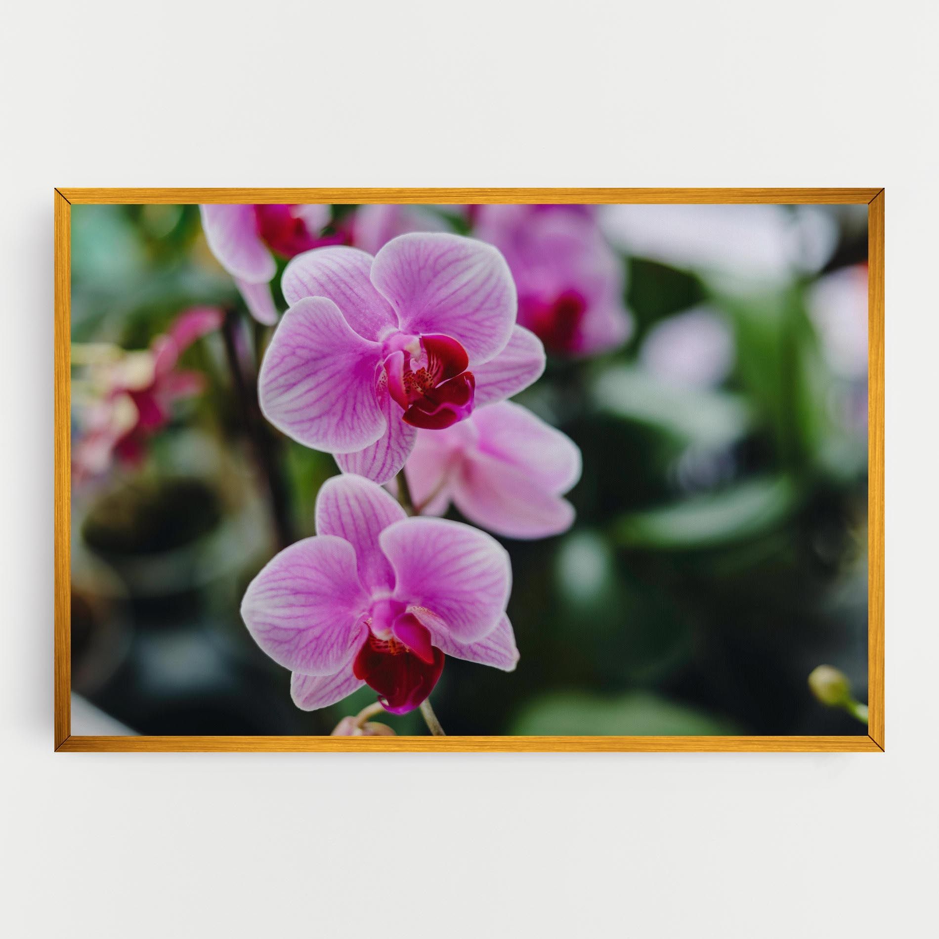 Garden Purple Orchids mockup 0