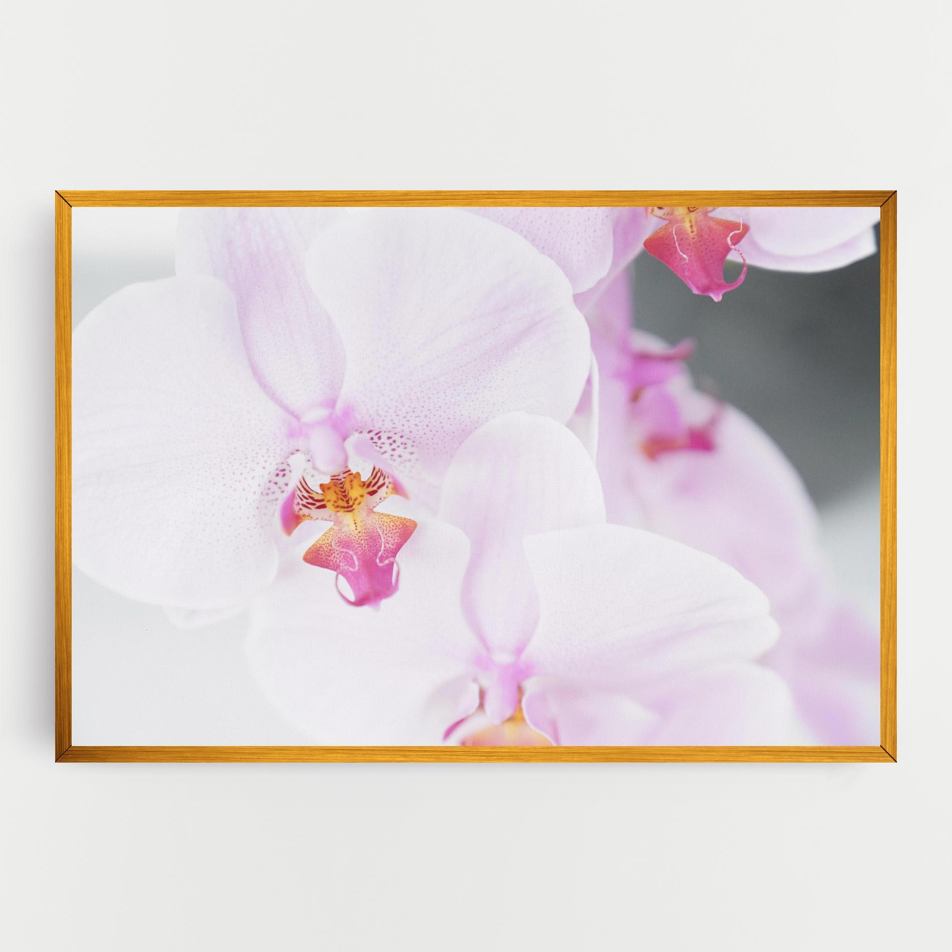 Vászonkép Light Purple Orchid mockup 0