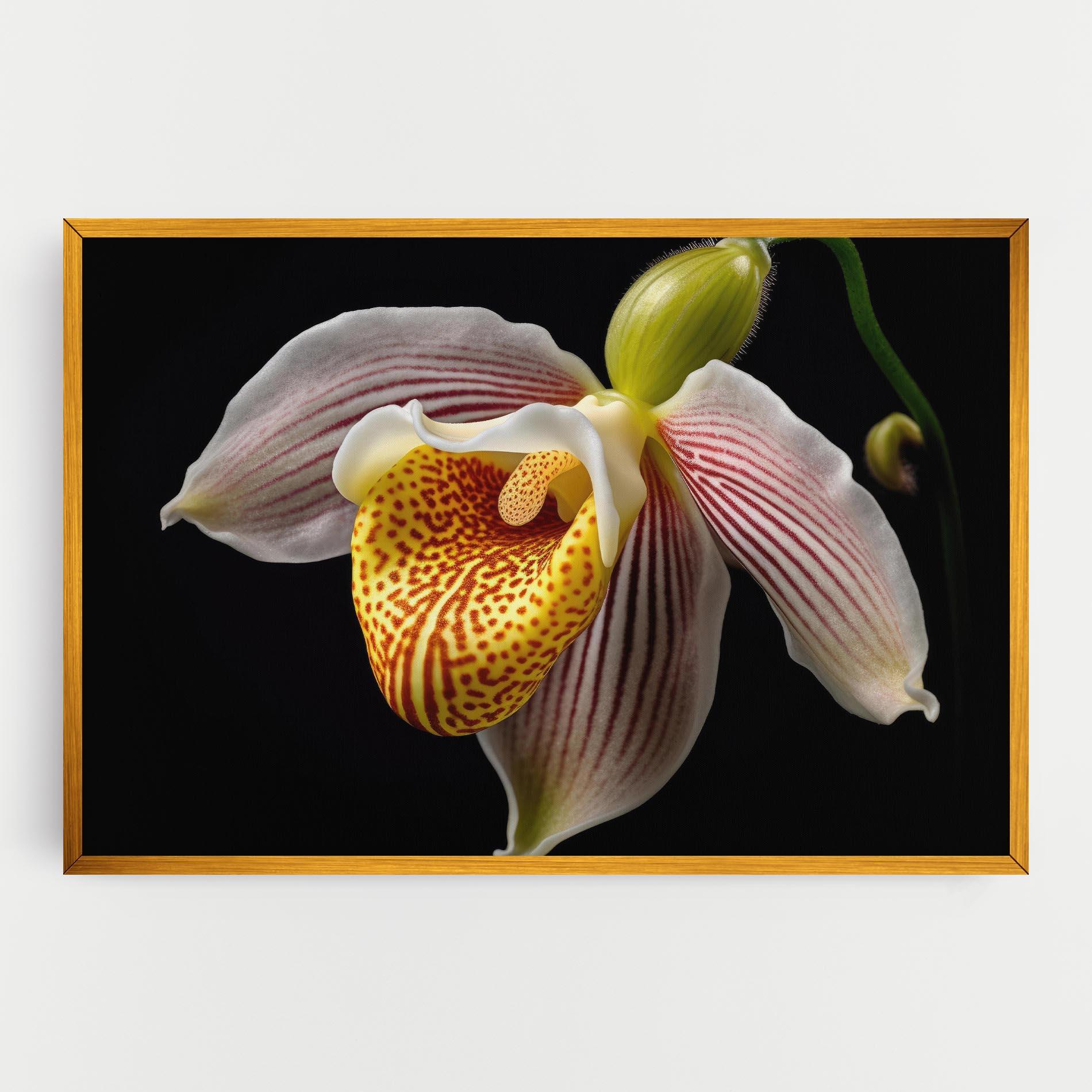 Vászonkép Orchid On Black mockup 0